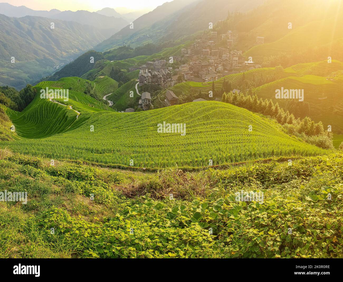 Draufsicht auf die Häuser an den Hängen. Sonnendurchflutete terrassenförmige Felder. China. Malerische Landschaft. Stockfoto