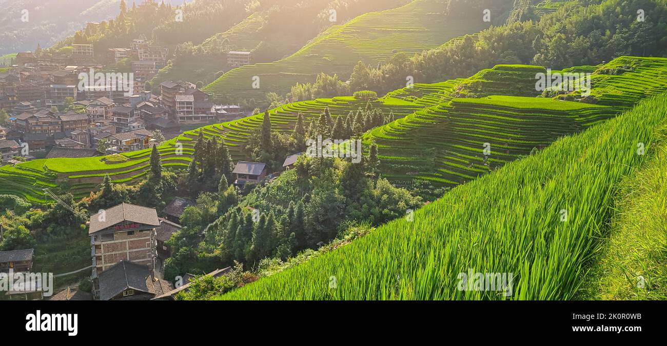 Draufsicht auf die Häuser an den Hängen. Sonnendurchflutete terrassenförmige Felder. China. Malerische Landschaft. Panorama. Stockfoto