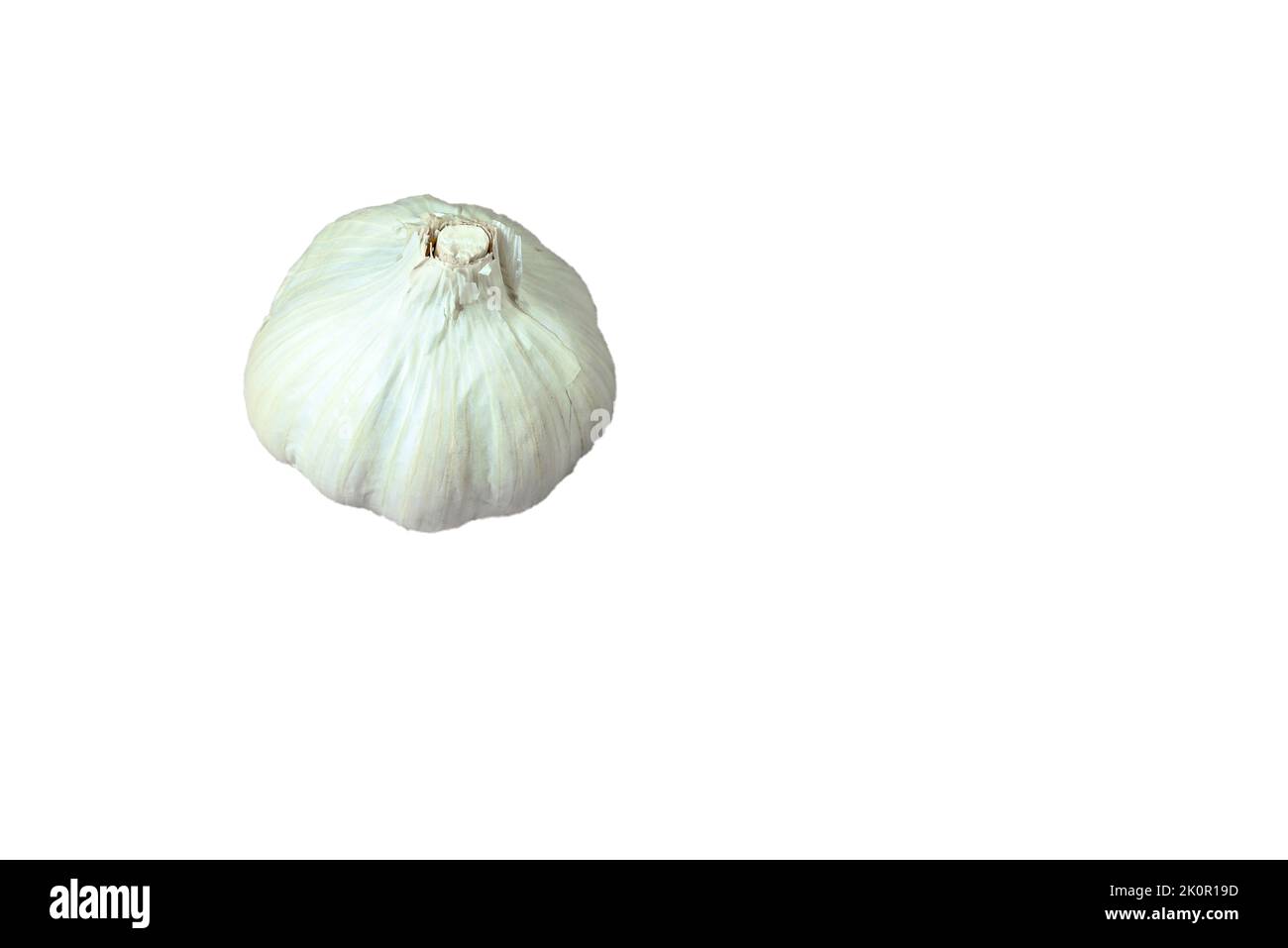 Der ganze Kopf des Knoblauchs auf weißem Hintergrund isoliert Stockfoto