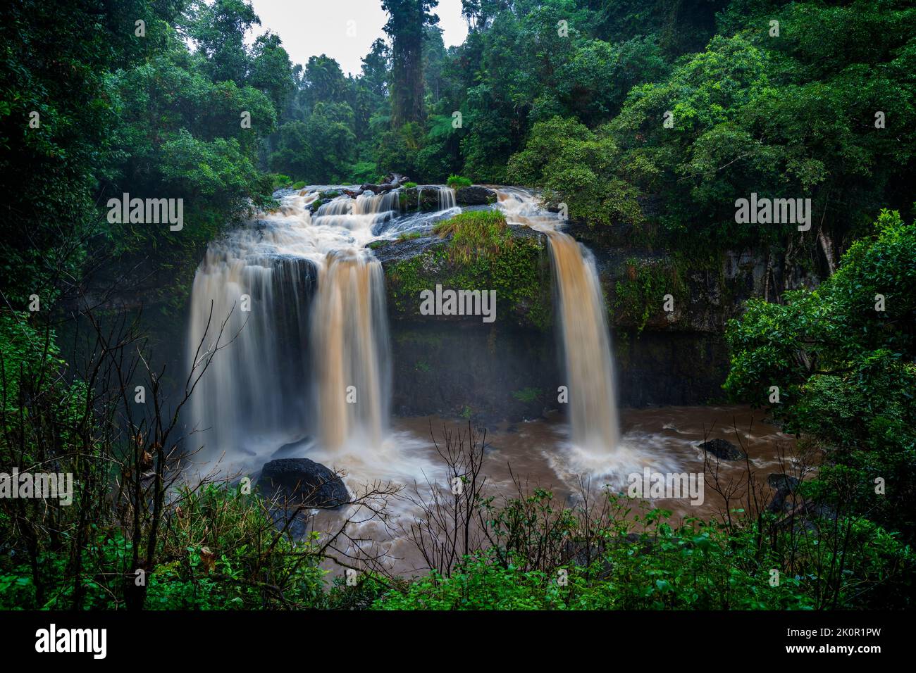 Tchupala Fallson am Henrietta Creek, Wooroonooran National Park, North Queensland Australia Stockfoto