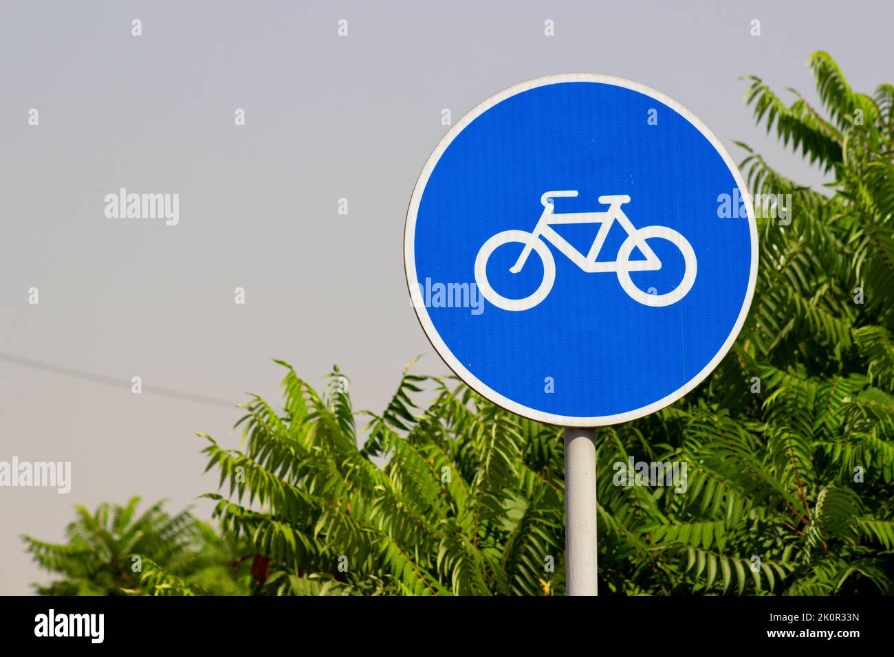Fahrradschild mit grünen Bäumen Hintergrund Stockfoto