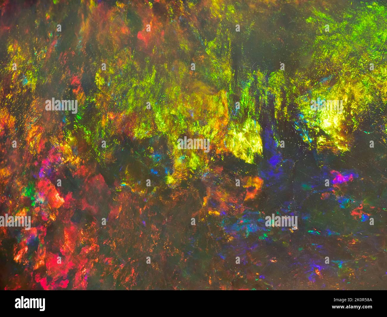 Australische Opal-Edelsteine, aufgenommen auf einem schwarzen Hintergrund, um die wunderschöne Farbe und das Muster dieses Natursteins hervorzuheben. Projekt mit Damien Hirst. Stockfoto