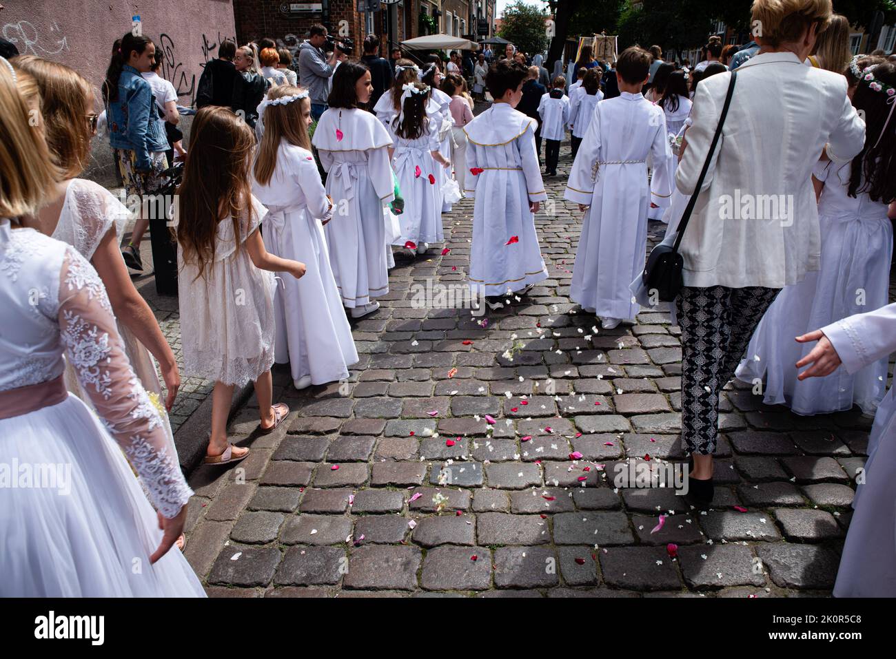 Kinder in weißen Kleidern werfen während der Prozession Blumen. Fronleichnam - liturgische Feier in der katholischen Kirche zu Ehren Jesu Christi im Allerheiligsten Sakrament. Eine Prozession von Gläubigen ging durch die Straßen von GDA?sk. Stockfoto