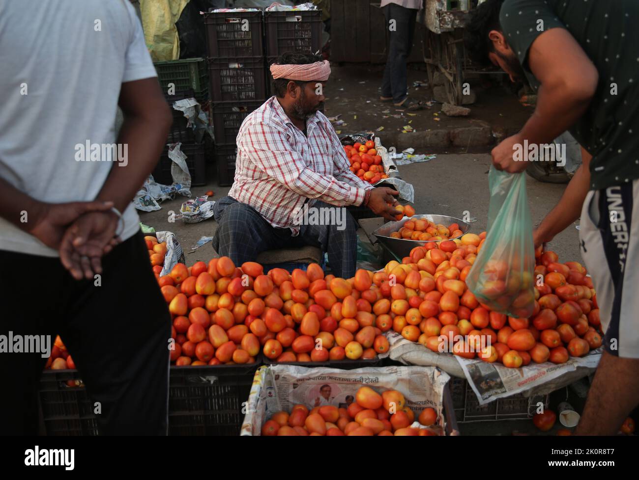 Amritsar. 13. September 2022. Ein Verkäufer verkauft Tomaten auf einem Markt in Amritsar im Norden Indiens, Punjab, 13. September 2022. Die Rate der Einzelhandelsinflation in Indien stieg im August auf 7 Prozent, verglichen mit 6,71 Prozent im Juli, nach Regierungsdaten, die am Montag veröffentlicht wurden. Quelle: Str/Xinhua/Alamy Live News Stockfoto