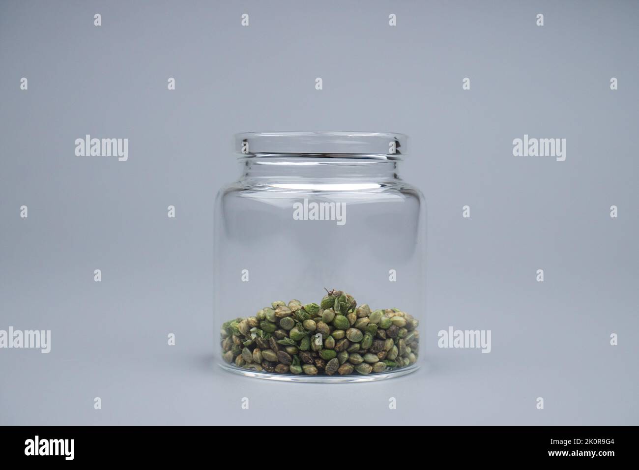 In einem Glasbehälter mit Cannabissamen wächst die Cannabiszucht Hanfsamen an. Stockfoto