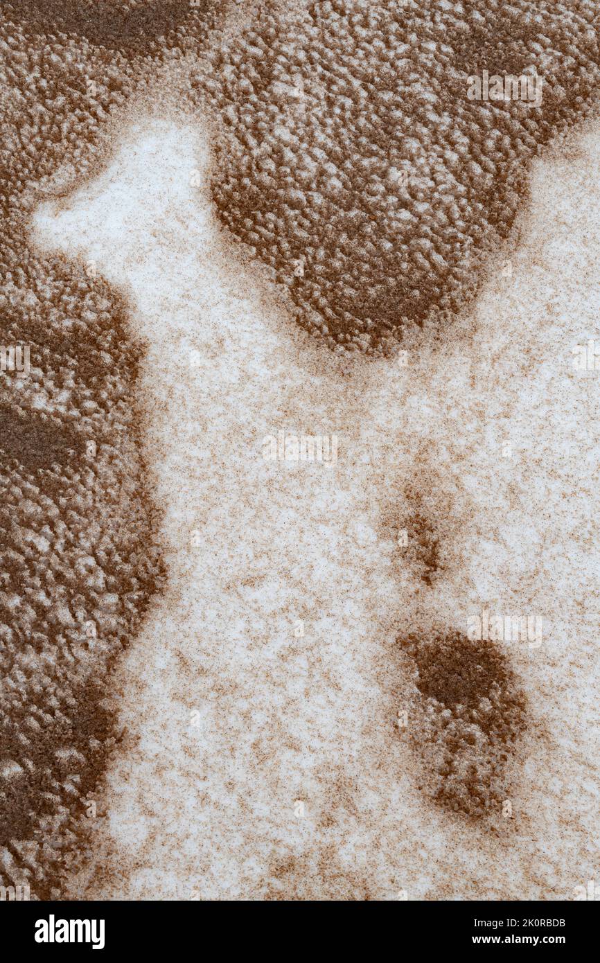 Schnee und Sand am Strand sorgen für eine interessante Studie im Whitefish Dunes State Park, Door County, Wisconsin Stockfoto