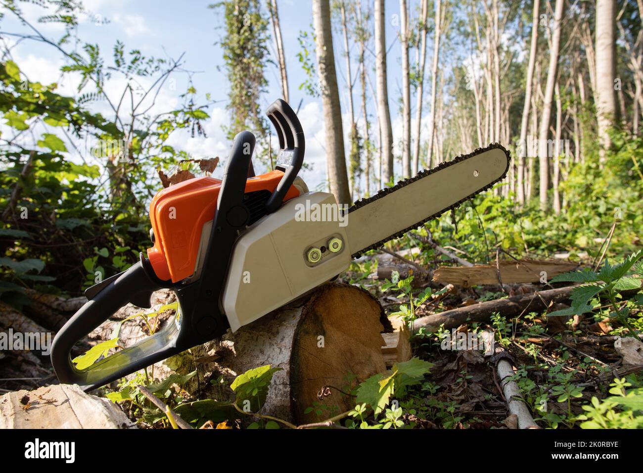Arbeitswerkzeug Benzin Kettensäge auf Log im Wald liegend Stockfoto
