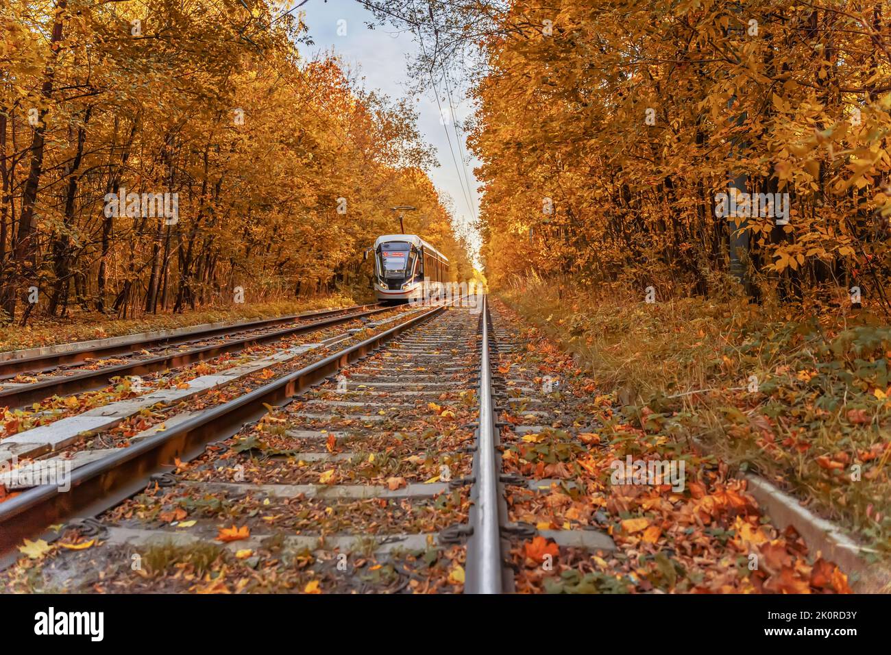 Herbstsaison mit Straßenbahn weit weg auf der Bahn. Fall, Blattfall Konzept Stockfoto