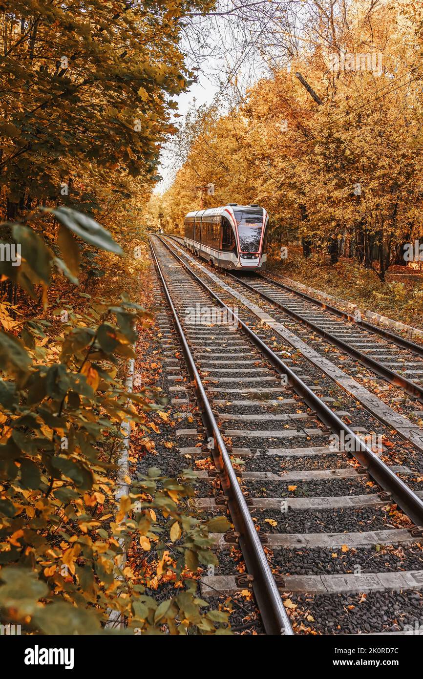 Alte Straßenbahn, die am Herbsttag auf der Eisenbahn fährt. Fall, Blatt Fall Stockfoto