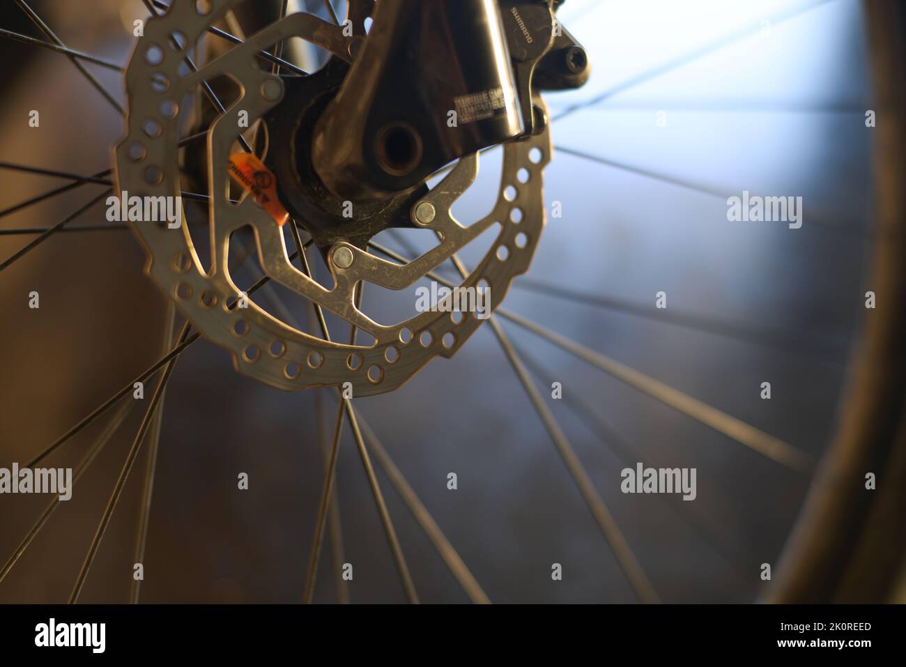 Vordere Scheibenbremse eines Mountainbikes Stockfoto