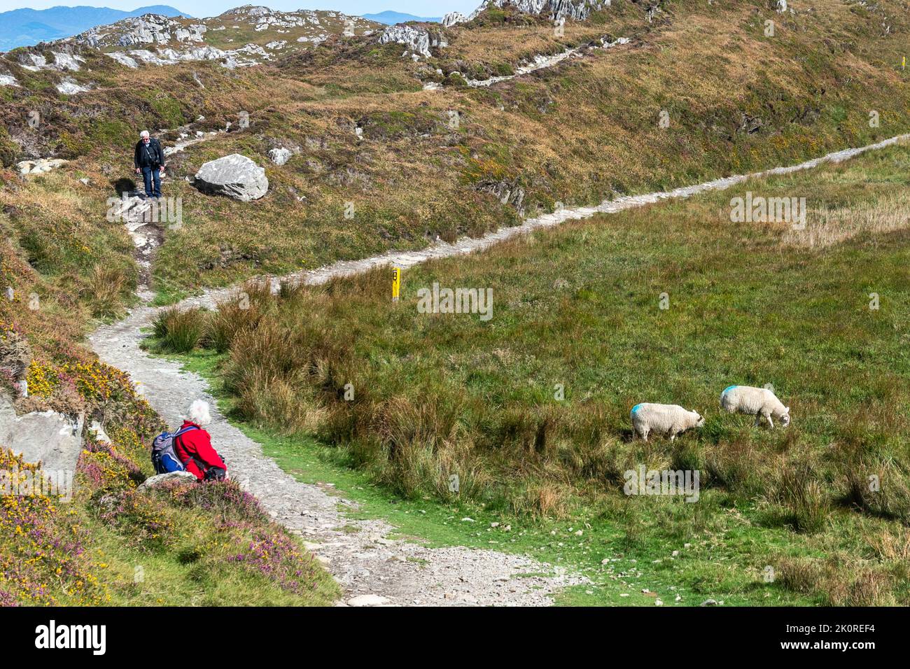 Sheep's Head, West Cork, Irland. 13. September 2022. Der malerische Sheep's Head war heute an einem sonnigen, aber luftigen Tag mit Touristen beschäftigt. Met Éireann hat für den Rest der Woche trockene und warme Tage prognostiziert. Quelle: AG News/Alamy Live News Stockfoto