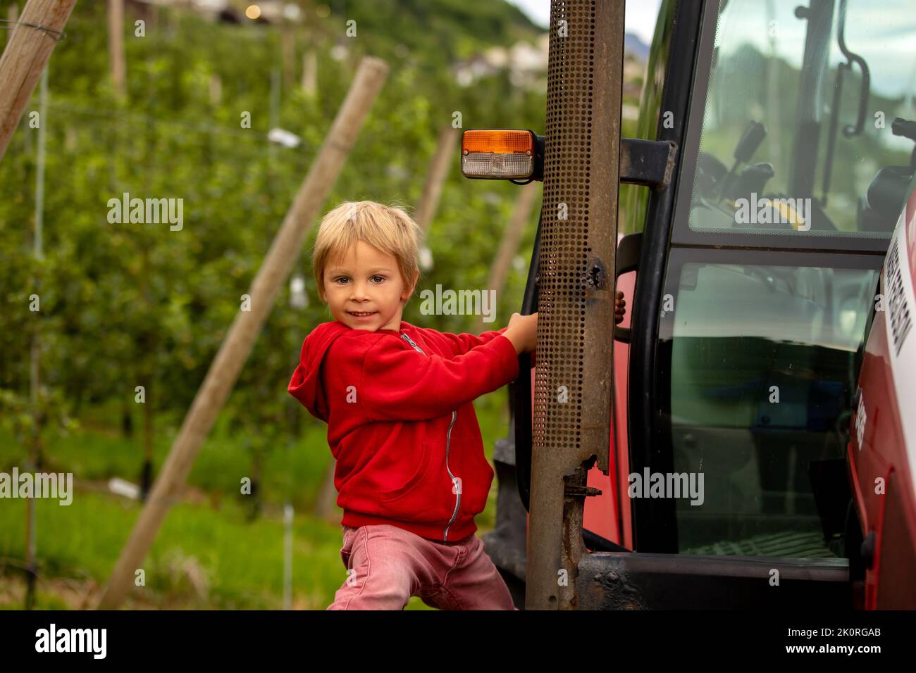 Apfelplantagen in Norwegen, Sommerzeit, Kind kontrolliert die Äpfel auf einem Baum Stockfoto