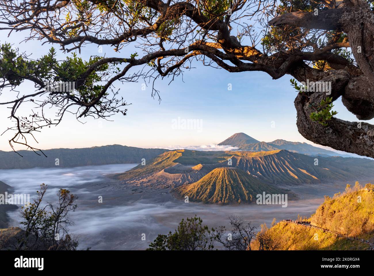 Vulkan Mount Bromo (Gunung Bromo) bei Sonnenaufgang vom Aussichtspunkt auf dem Mount Penanjakan, in Ost-Java, Indonesien. Stockfoto