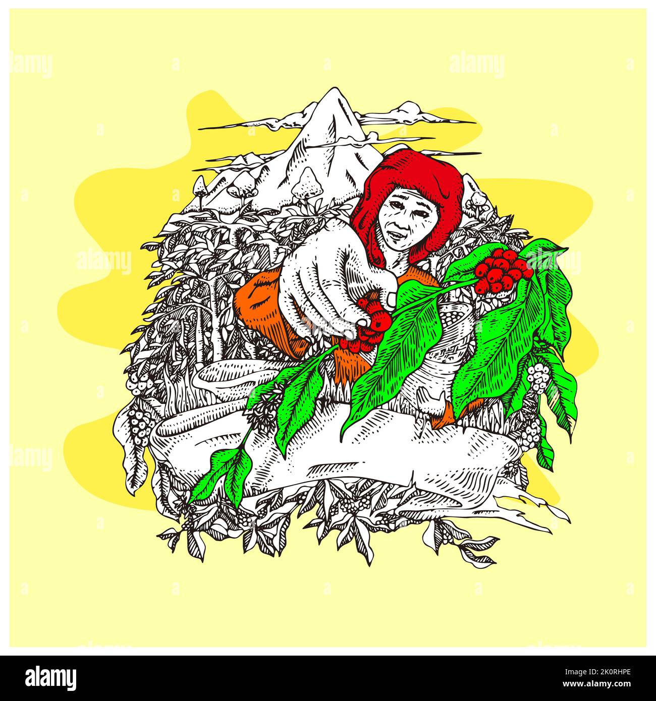 Frau nicht identifizierten Kaffee Landwirt ist Ernte Kaffeebeeren in der Kaffee-Farm Stockfoto