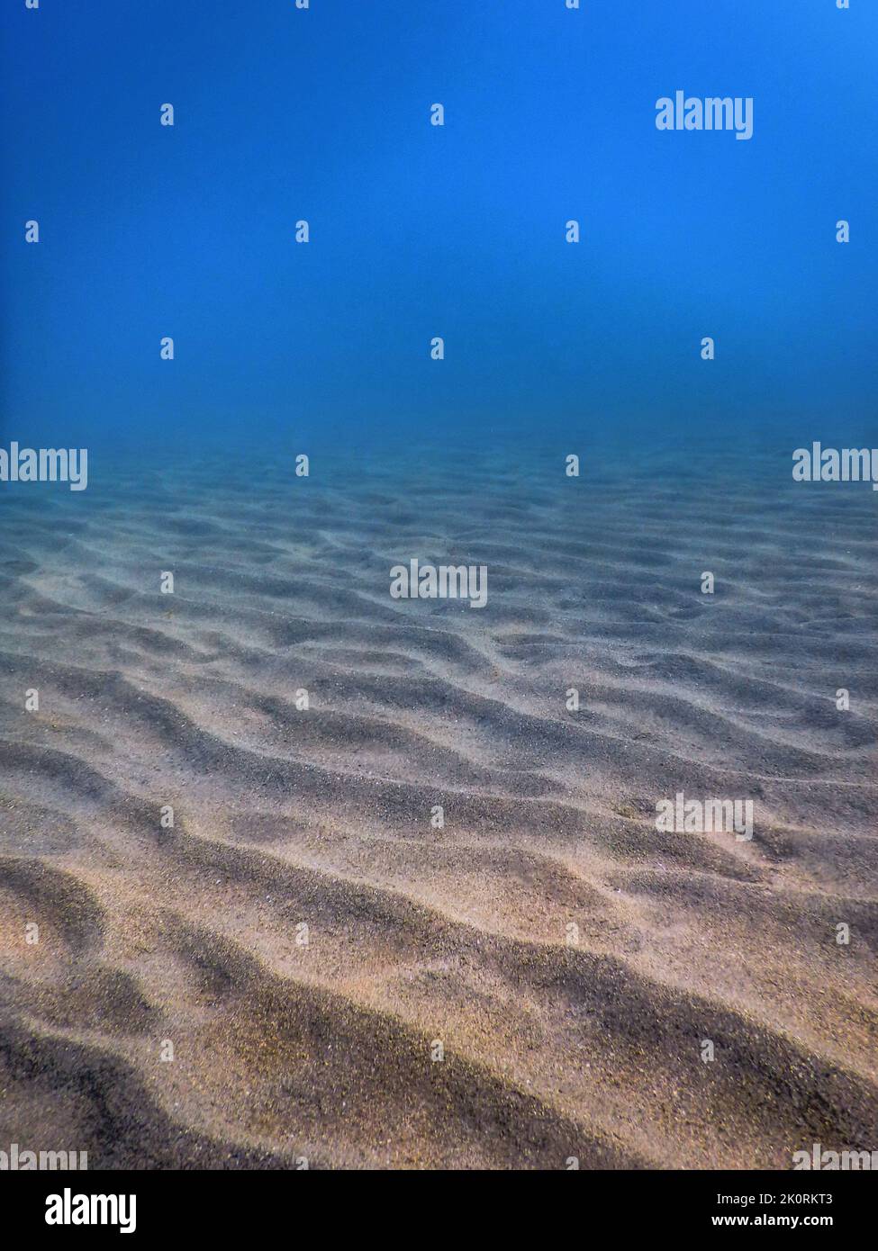 Unterwasserleben, sandiger Meeresboden, Unterwasserhintergrund Stockfoto