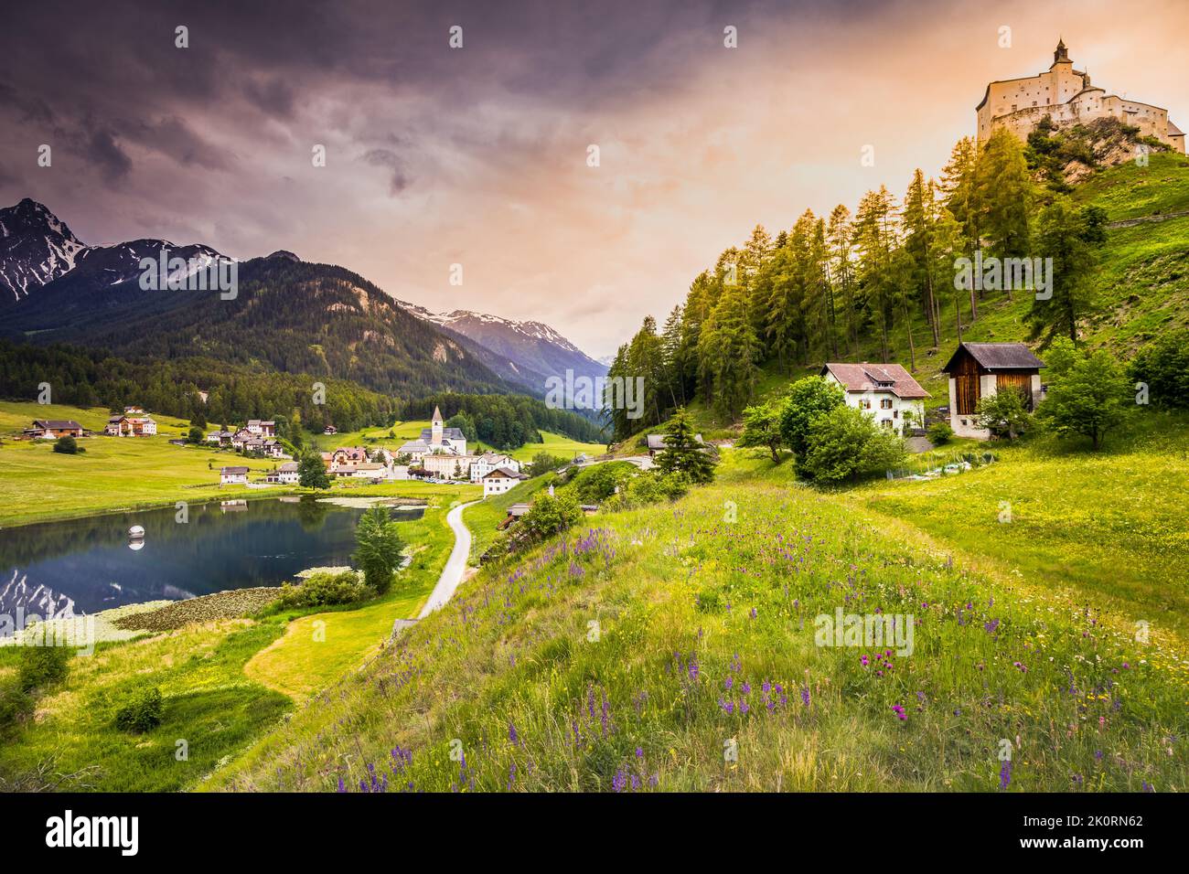 Tarasp mit bunten Wildblumen und Wiesen im Frühling, Engadin, Schweizer Alpen Stockfoto