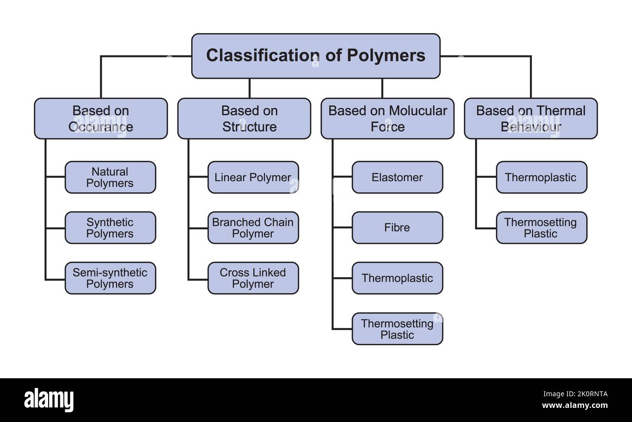 Klassifizierung von Polymeren. Polymere und ihre Typen. Vektorgrafik. Stock Vektor