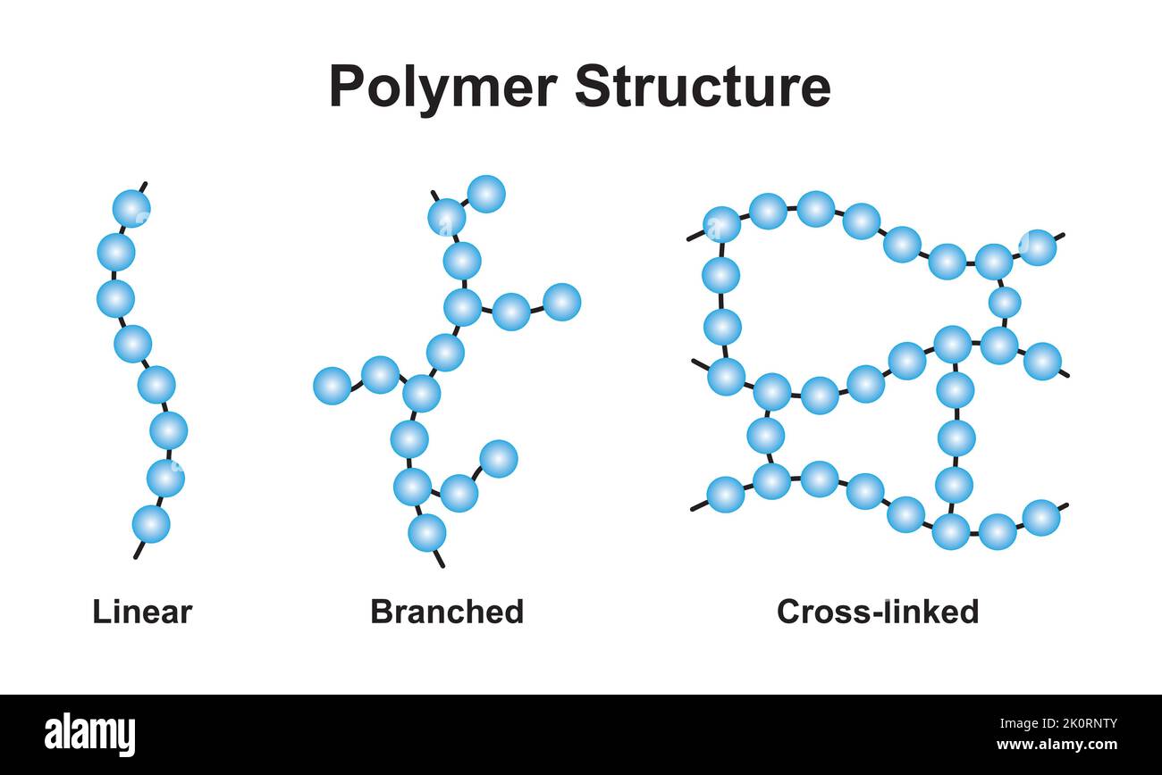 Wissenschaftliches Design der Klassifizierung von Polymerstrukturen. Polymer und seine Typen. Bunte Symbole. Vektorgrafik. Stock Vektor