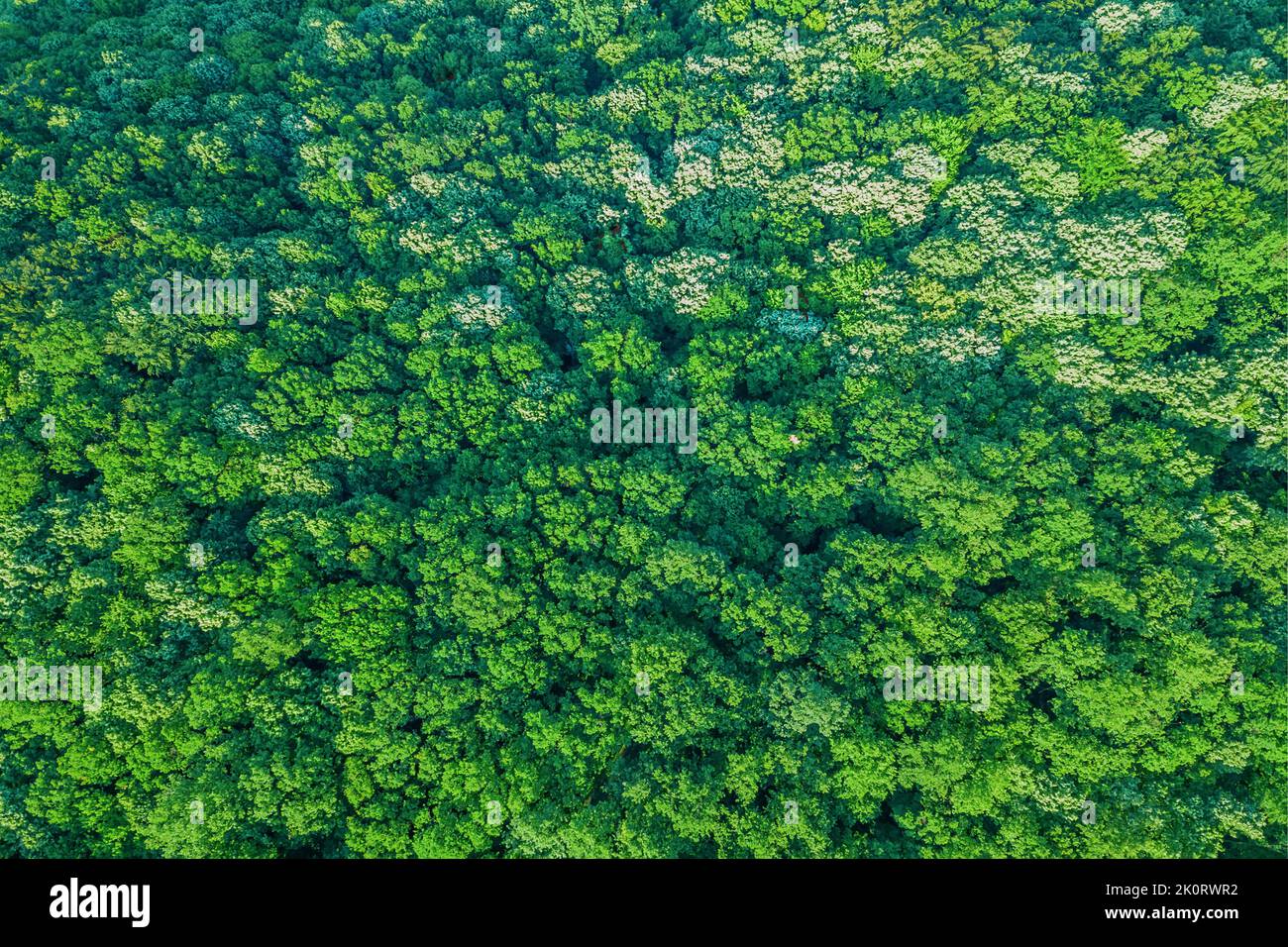 Nachhaltiger Lebensraum Karte von Tokelau, Umweltkonzept Stockfoto