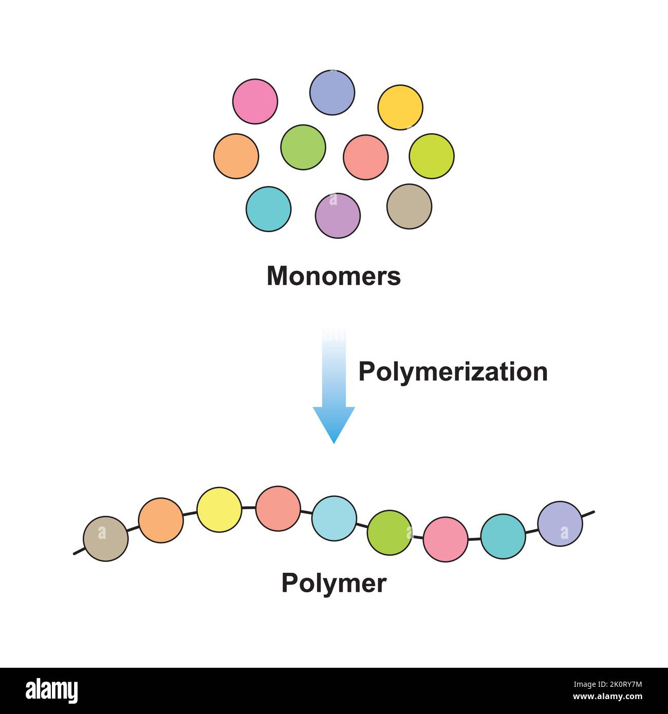 Wissenschaftliche Gestaltung der Polymerisierungsreaktion. Umwandlung von Monomeren in Polymer. Bunte Symbole. Vektorgrafik. Stock Vektor