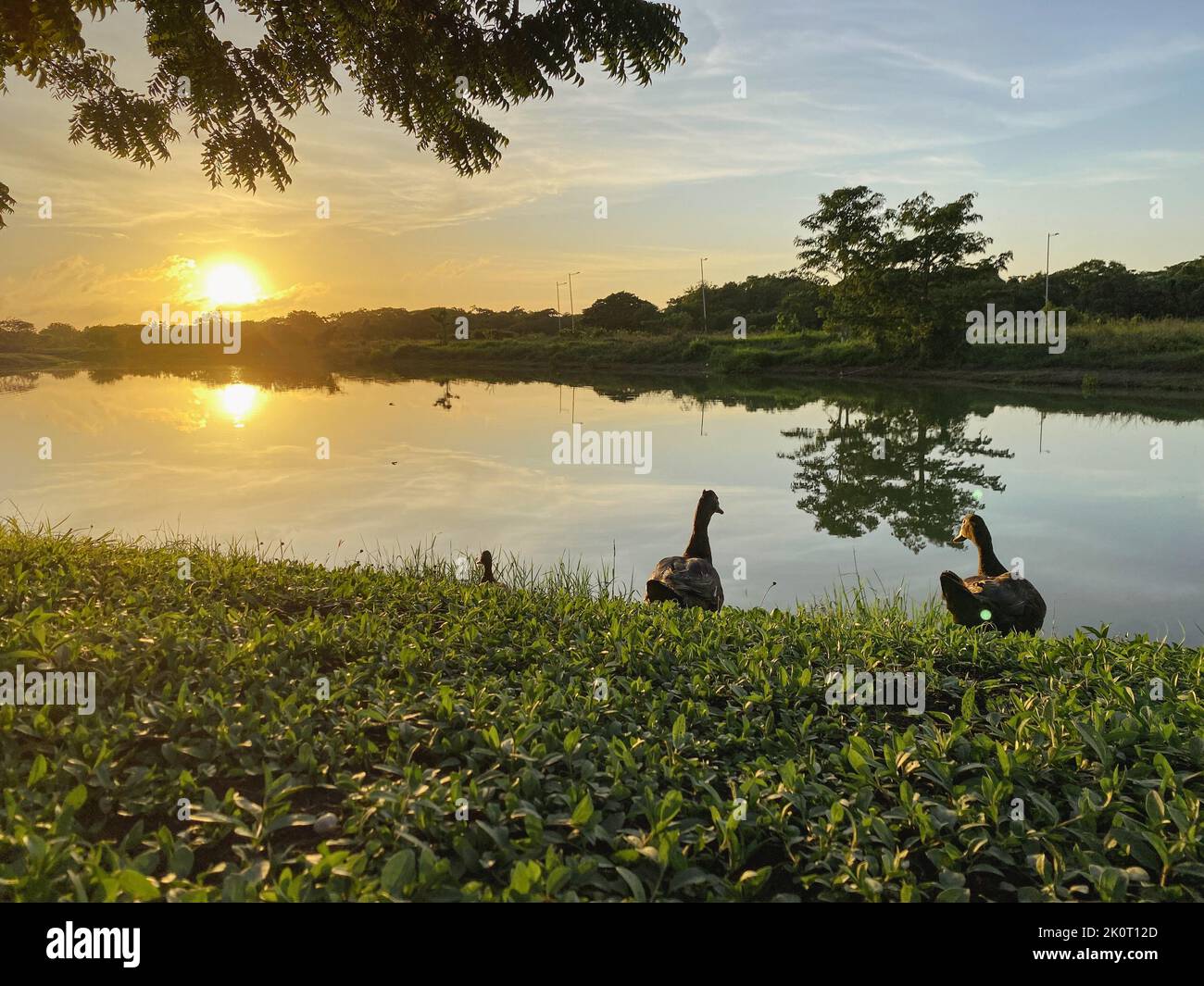 Sonnenuntergang in Kolumbien Stockfoto