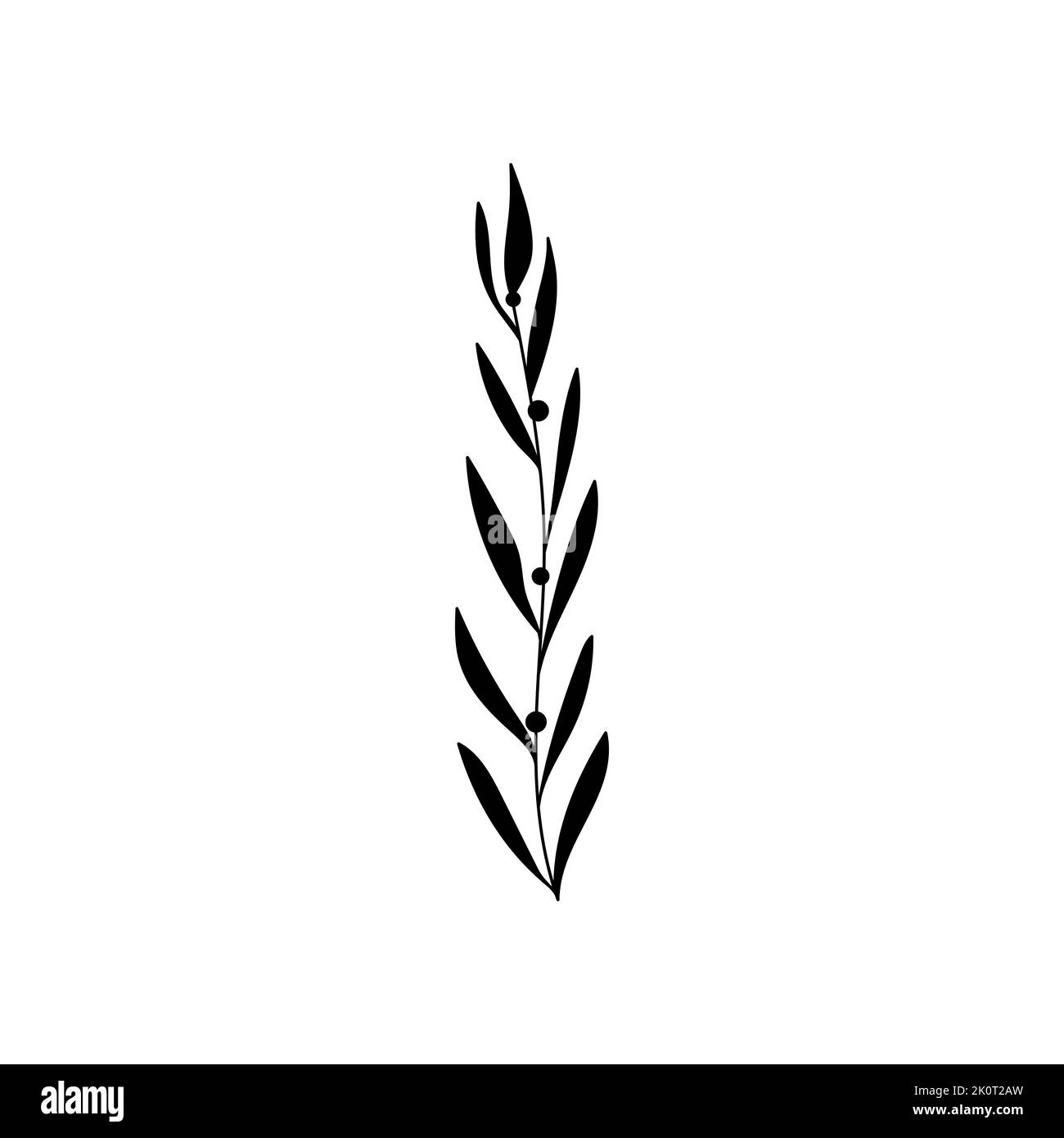 Illustration einer Blume, Silhouette eines Zweiges mit Blumen und Blättern. Vektorgrafik. Blumendruck Stock Vektor