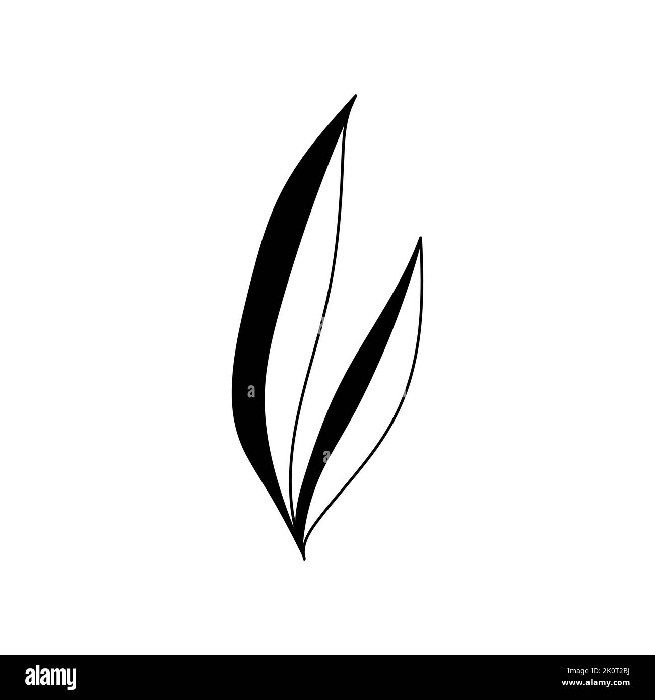 Illustration einer Blume, Silhouette eines Zweiges mit Blumen und Blättern. Vektorgrafik. Blumendruck Stock Vektor