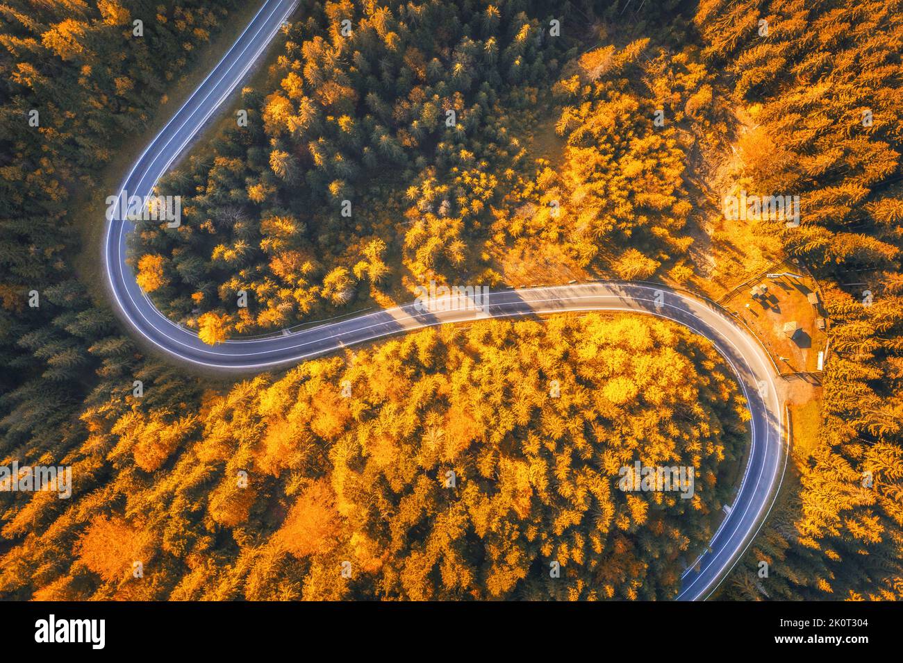 Luftaufnahme einer verwinkelten leeren Straße im farbenfrohen Herbstwald Stockfoto