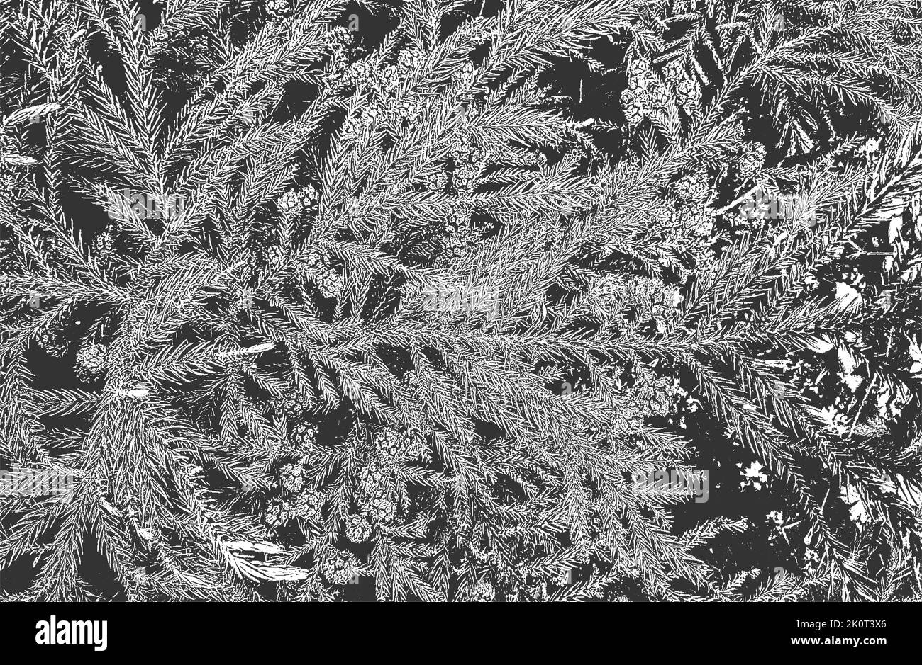 Verängstigte Overlay Nahaufnahme Textur von Kiefer Kegel, Nadeln. Grunge schwarz und weiß Hintergrund. Abstrakte Halbton Vektor-Illustration Stock Vektor
