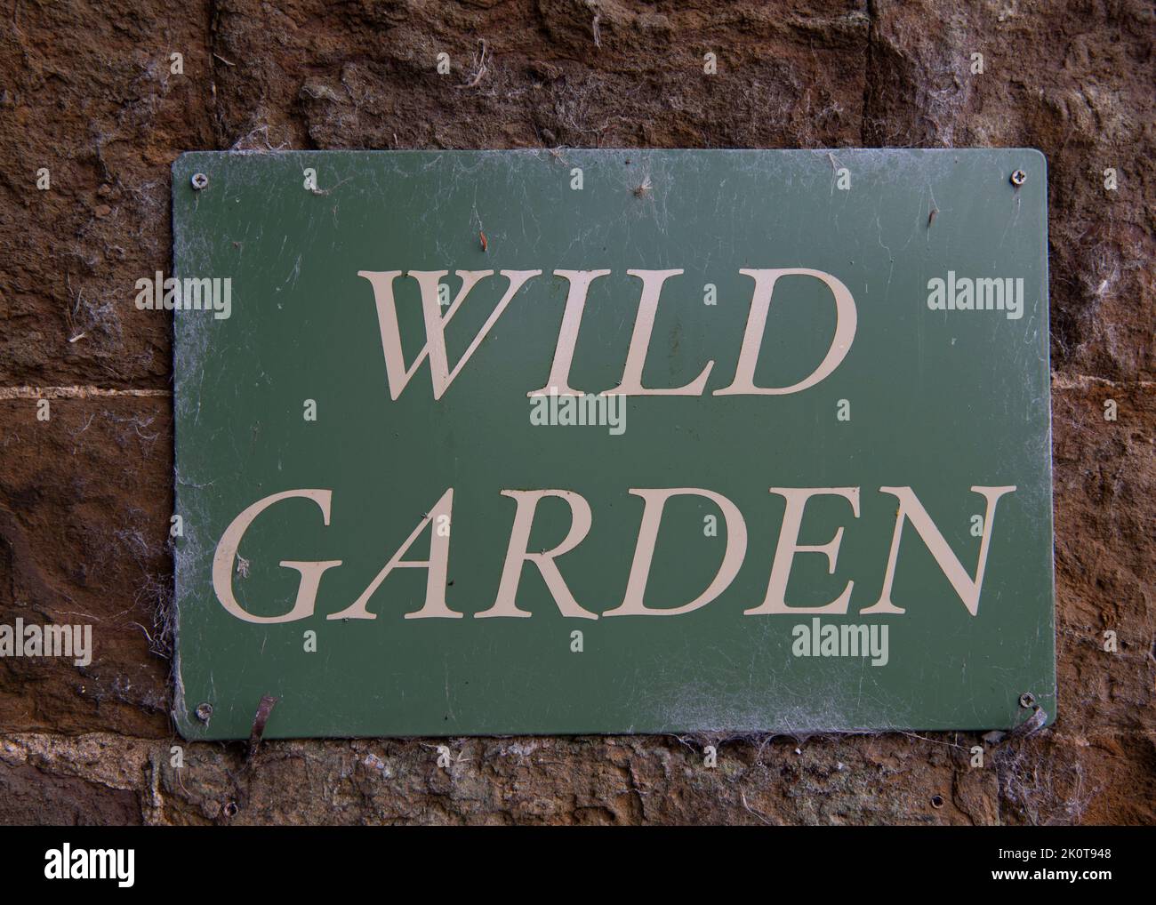 Wilder Garten Stockfoto