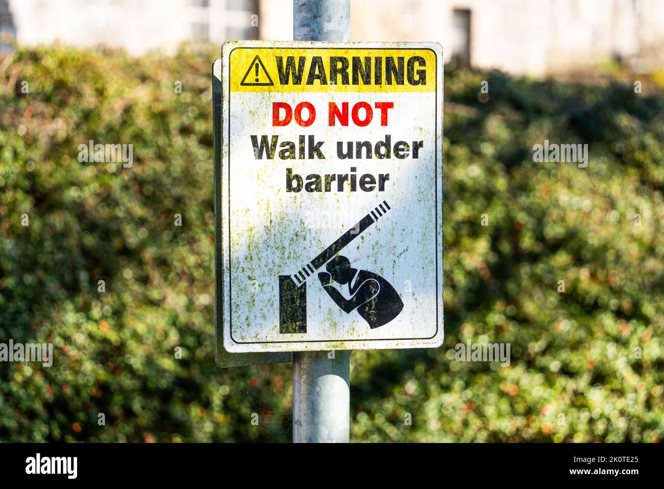 Eine Nahaufnahme eines Hinweises „Gehen Sie nicht unter die Barriere“ auf einem Schild in einem grünen Garten Stockfoto