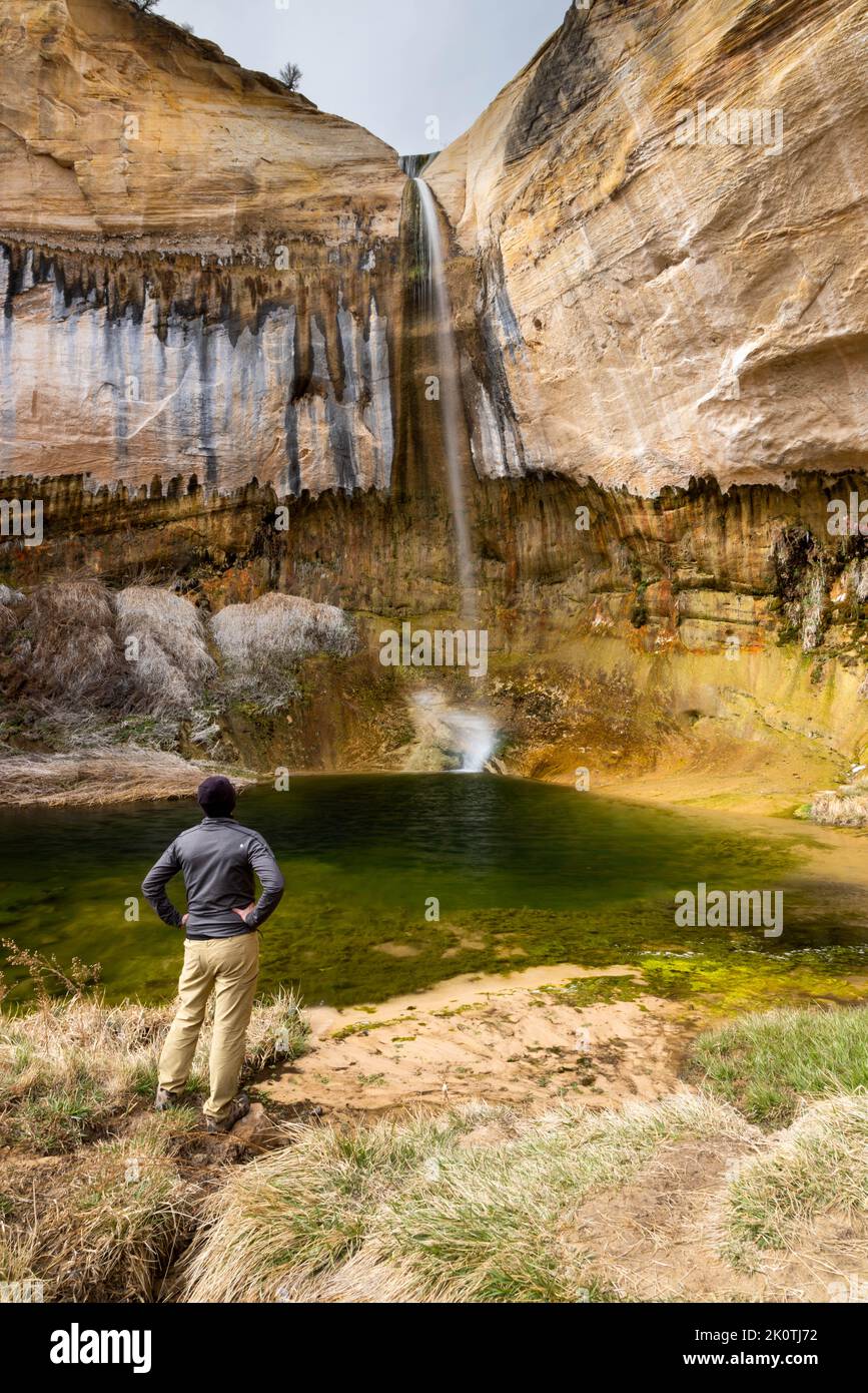 Ein männlicher Wanderer, der unter den Upper Calf Creek Falls steht und die Aussicht bewundert. Grand Staircase-Escalante National Monument, Utah Stockfoto