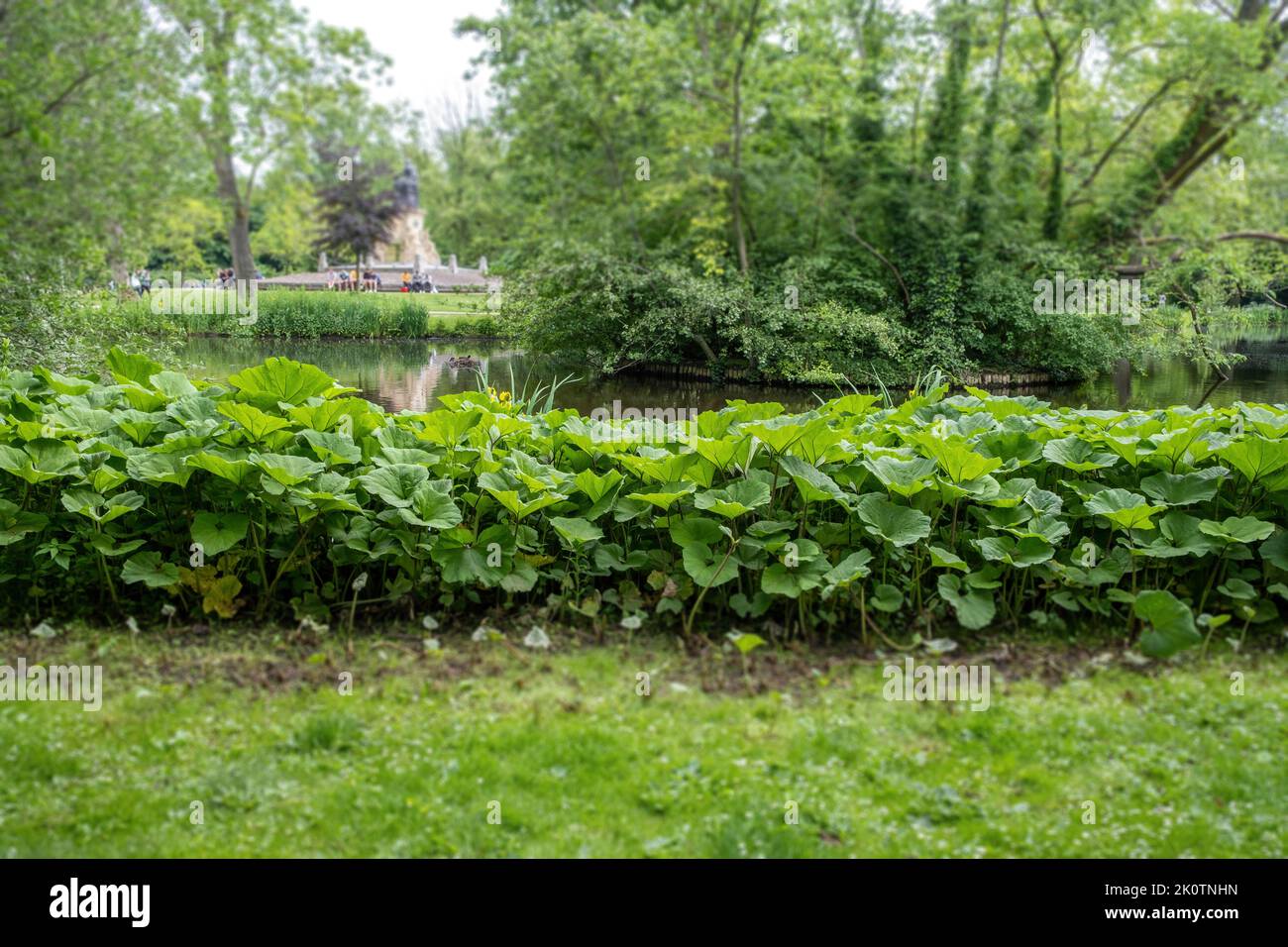 Amsterdam, Vondelpark in den Niederlanden. Teich umgeben von Pflanzen, Bäumen, grünem Gras. Vor der Joost van den Vondel-Statue in der Nähe von Th erholen sich die Menschen Stockfoto