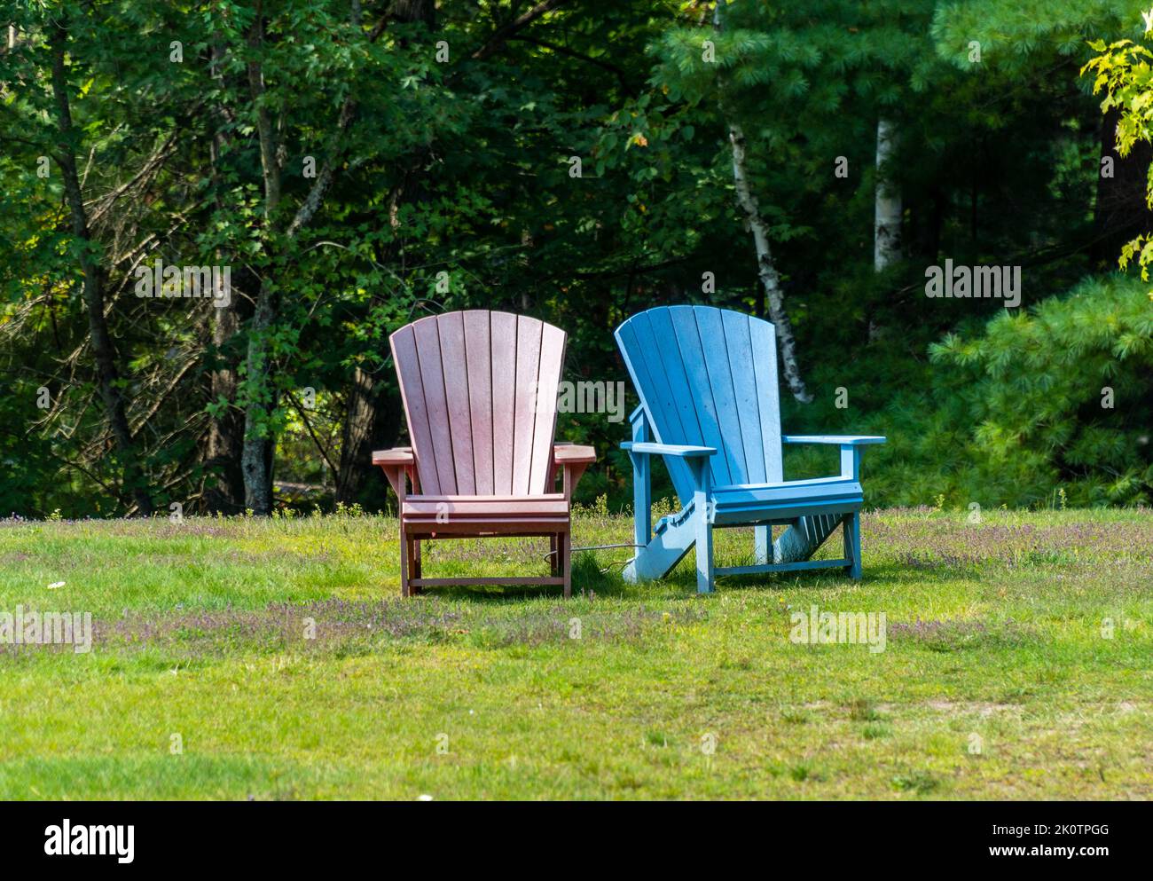 Bunte Stühle in einem Park mit Bäumen im Hintergrund. Stockfoto