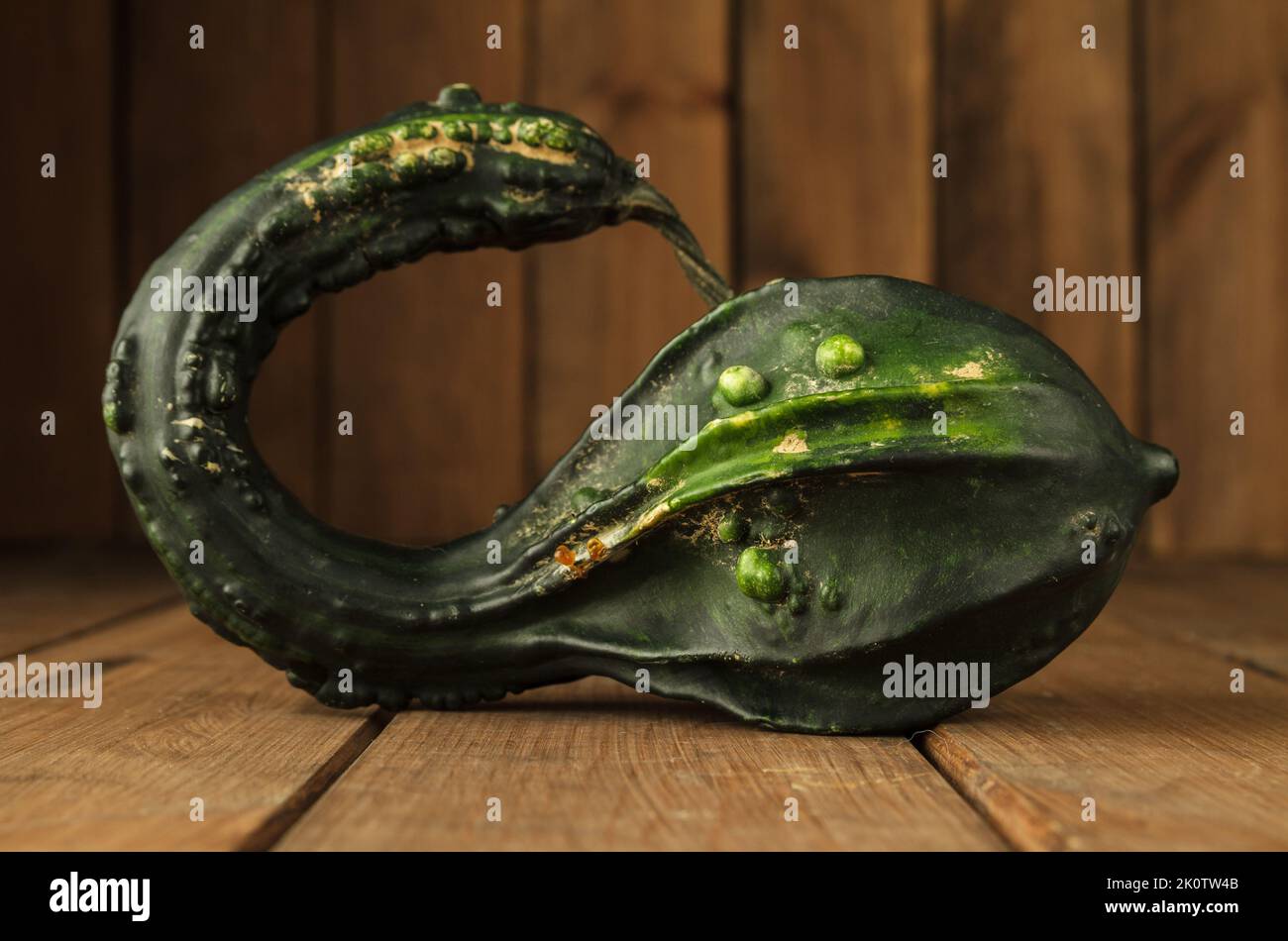 Kleiner dekorativer HerbstKürbis oder Kürbis auf einem Holztisch. Stockfoto