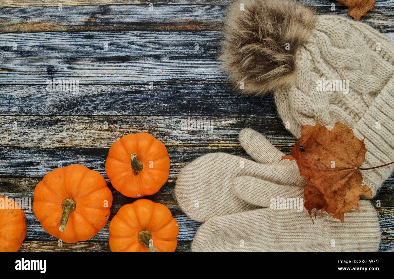 Warme, kuschelige Wintermütze mit Bommel und Handschuhen. Herbst flach Lay Komposition mit Kürbissen, Herbstblättern und Kopierraum auf Holzhintergrund. Stockfoto