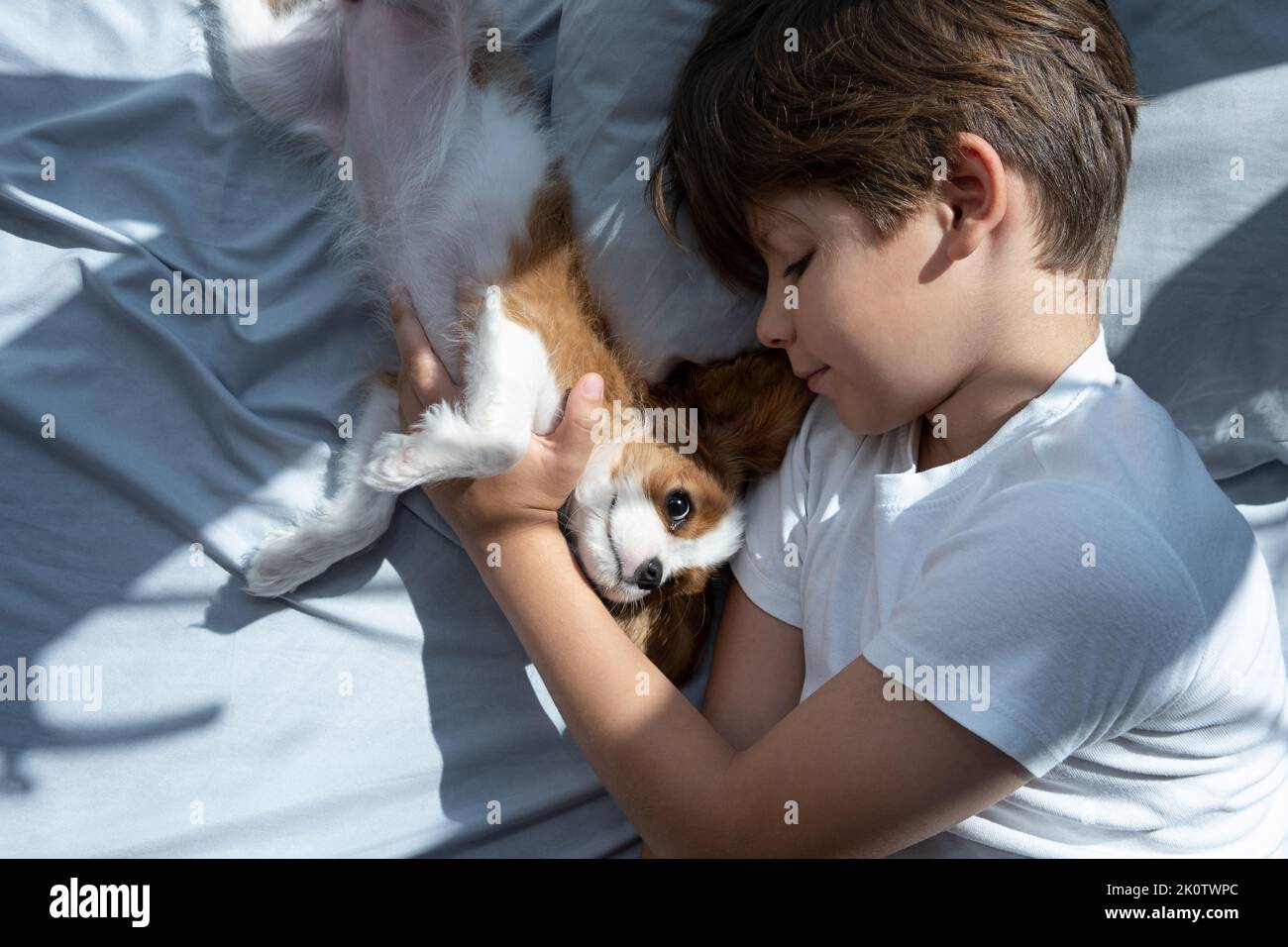 Der Junge mit einem Hund in der Umarmung liegt morgens im Bett. Schlafen Sie mit Haustieren. Niedlichen Welpen cavalier König charles spaniel Stockfoto