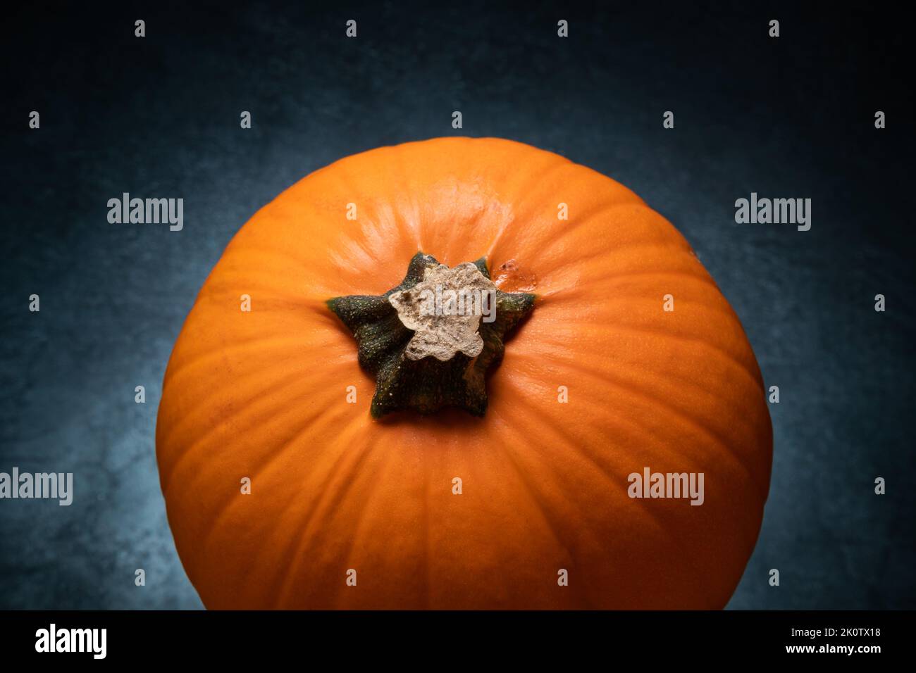 Orangefarbener Kürbis mit abgeschnittenem Stiel, Herbst- oder Herbststill-Leben für Thanksgiving und Halloween. Stockfoto