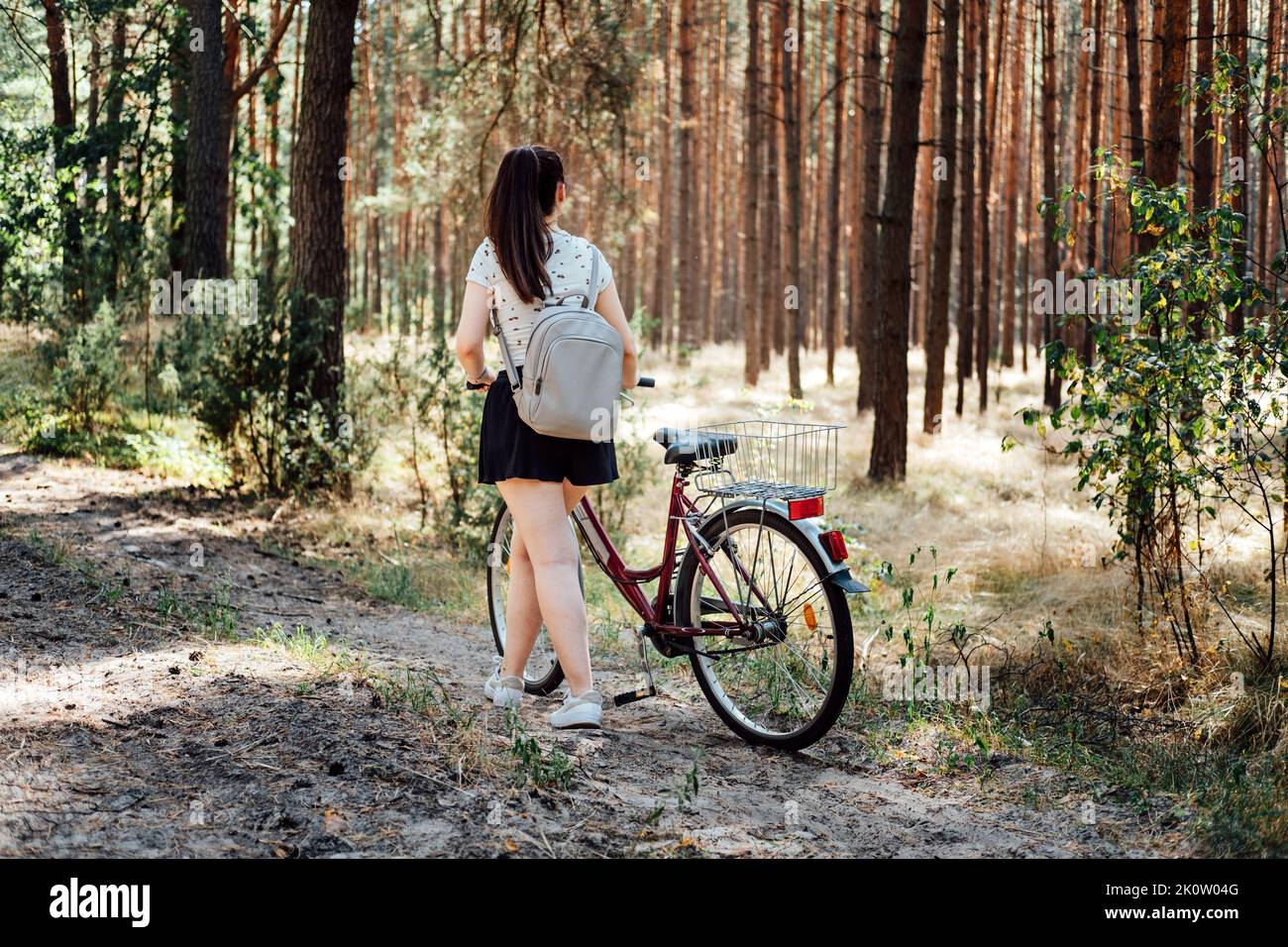Fahrradtourismus. Road Biking Trails. Fahrräder können gemietet werden. Alleinerziehende Frau, die an sonnigen Tagen Fahrrad im Kiefernwald reitet Stockfoto