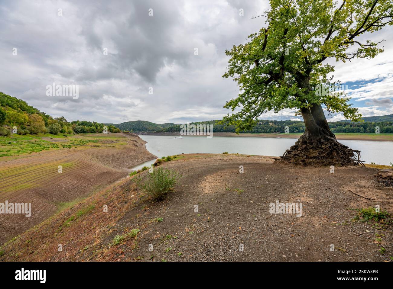 Der Edersee bei Waldeck, Deutschlands drittgrößtem Stausee, liegt derzeit knapp 13 % seines normalen Niveaus; das letzte Mal war der See voll Stockfoto