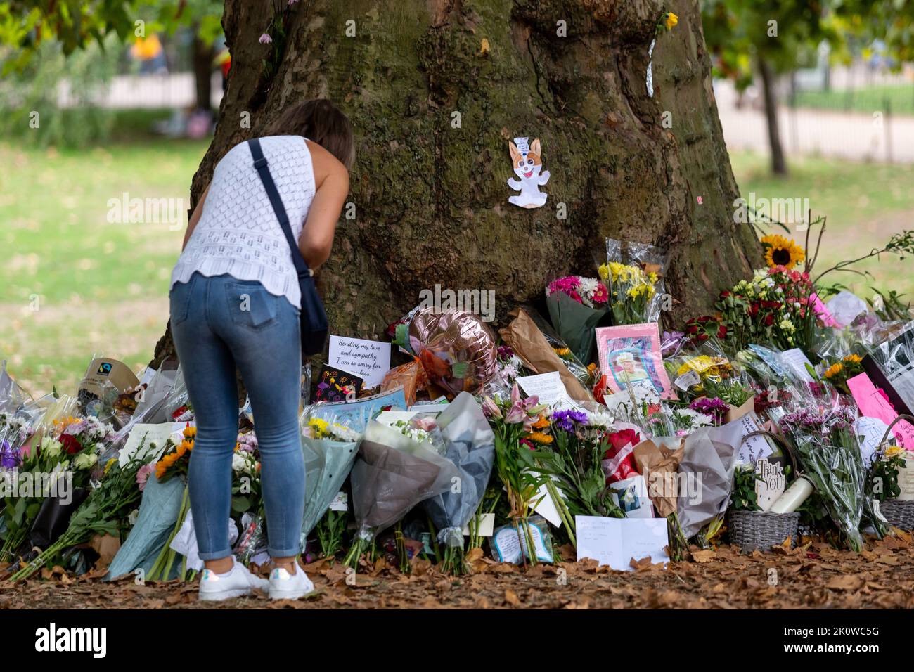 London, Großbritannien. 13. September 2022. Eine Frau sieht Blumen, die der längsten regierenden Monarchin, Königin Elisabeth II., im Saint James's Park hinterlassen werden, da der Sarg mit ihrem Körper am 13. September 2022 im Buckingham Palace in London, Großbritannien, ankommen wird. Elisabeth II. Verstarb am 8. September in Schottland. Ihre Überreste nach den Zeremonien in Edinburgh werden am 13. September nach London verlegt und die Öffentlichkeit darf den Palast besuchen, um Respekt zu zollen. (Foto von Dominika Zarzycka/Sipa USA) Quelle: SIPA USA/Alamy Live News Stockfoto