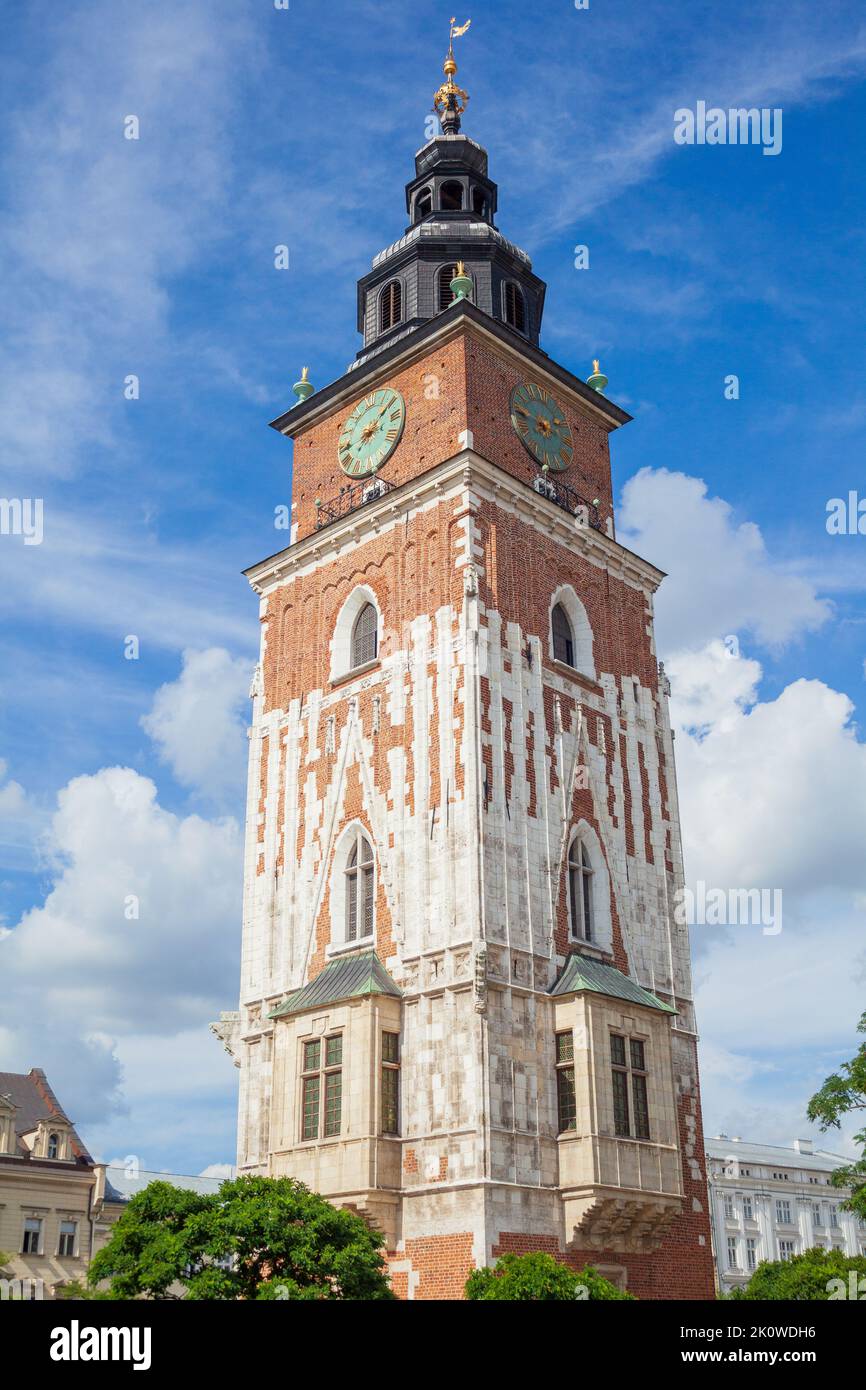 Der Rathausturm in der Krakauer Altstadt unter blauem Sommerhimmel Stockfoto