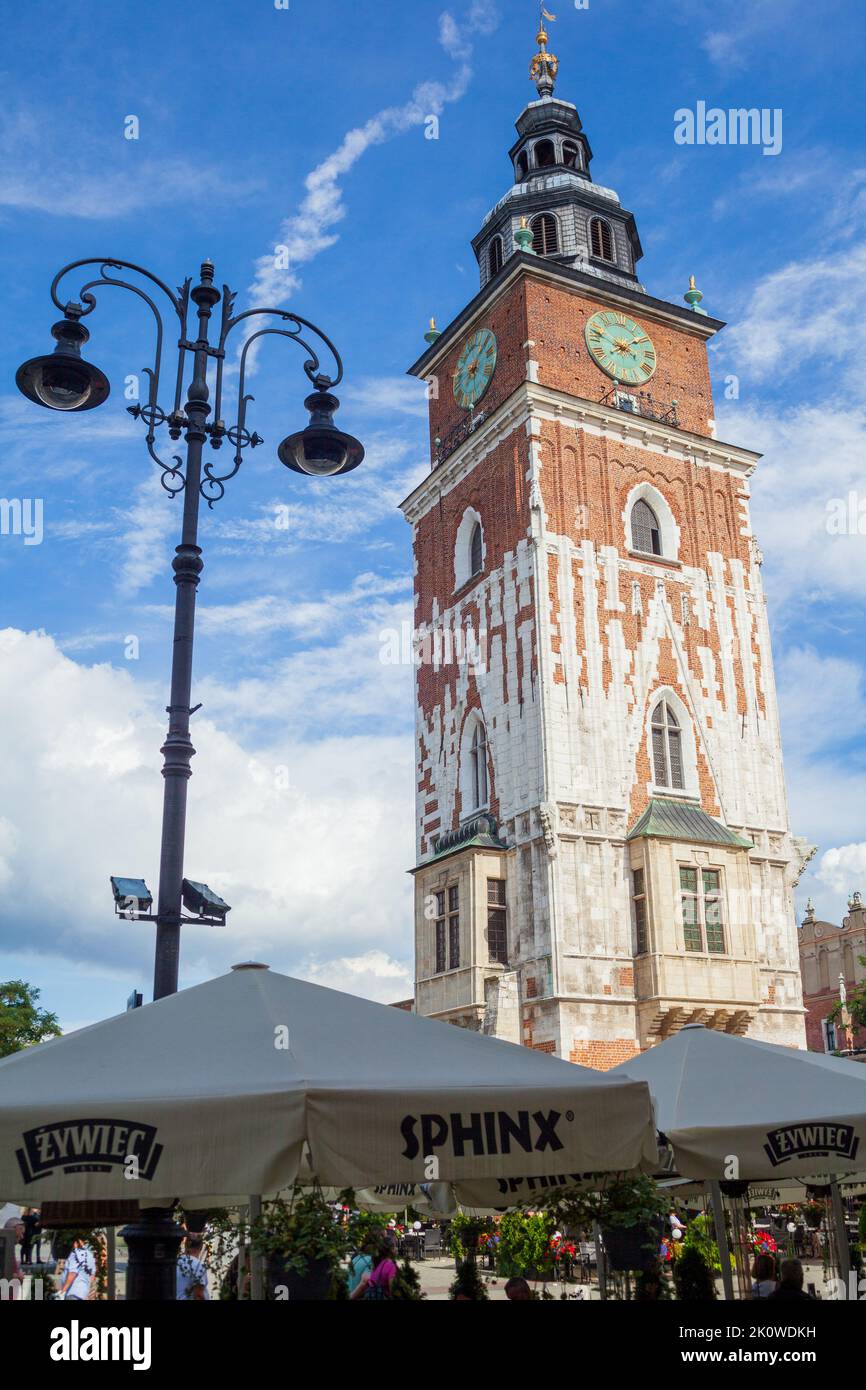 Der Rathausturm in der Krakauer Altstadt unter blauem Sommerhimmel Stockfoto