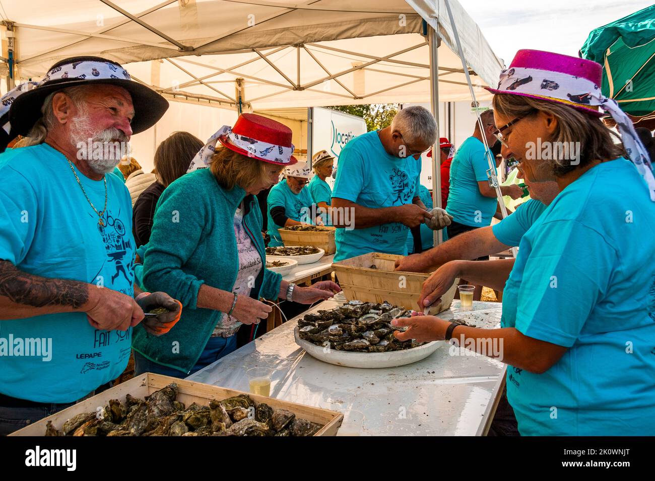 Austern gehören zu den Spezialitäten in der Region Nouvelle-Aquitaine. Die Einwohnerin der Gemeinde Saint-Seurin-de-Cadourne kümmern sich seit dem ersten Marathon du Medoc 1985 um die Versorgung der Teilnehmer mit Austern. Total ready the Dorfgemeinschaft 18,000 Austern der Größe 4 vor Stockfoto