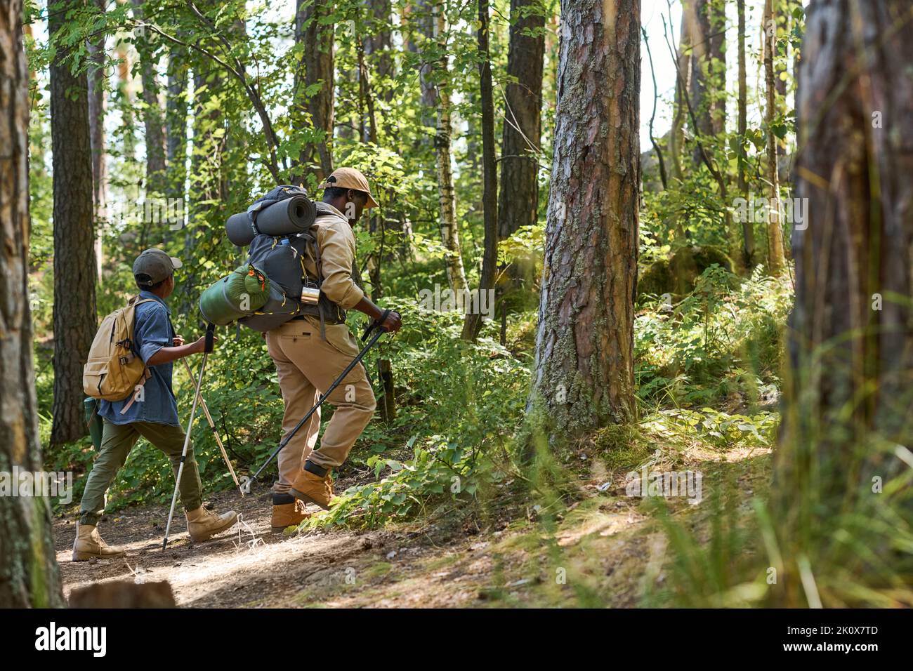 Seitenansicht eines niedlichen Schuljungen mit Rucksack und Trekkingstöcken, der seinem Großvater mit Rucksack folgt, während er sich zwischen Kiefern bergauf bewegt Stockfoto