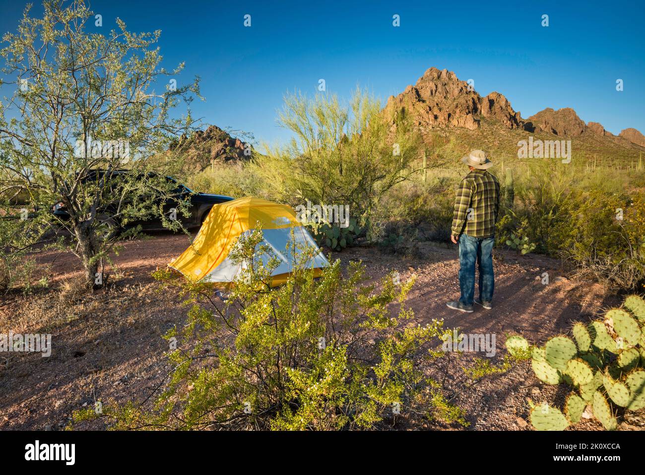 Camper auf dem Campingplatz in der Nähe von Ragged Top Mountain, vor dem Kreosoten-Busch, Silver Bell Mtns, Sonoran Desert, Ironwood Forest National Monument, Arizona, USA Stockfoto