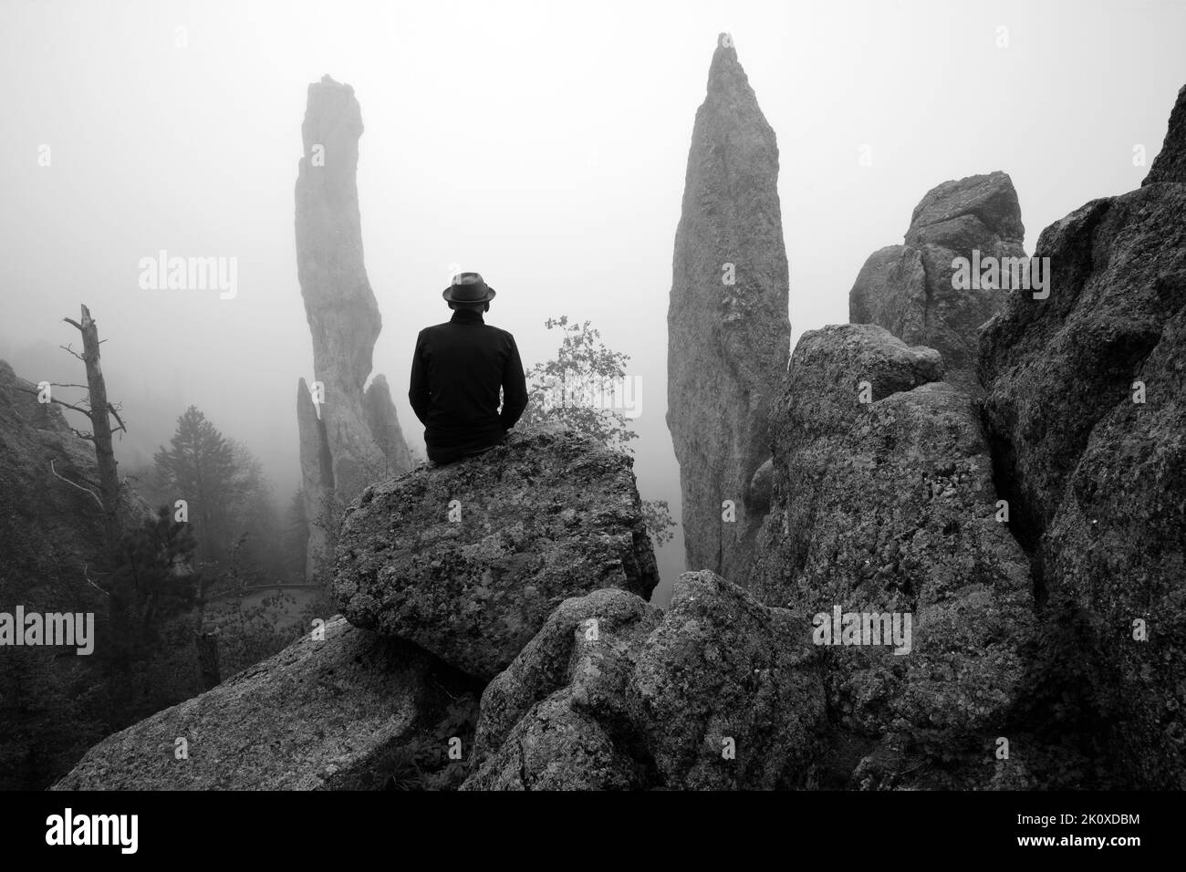 USA, Great Plains, South Dakota, Black Hills, Custer State Park, Die Nadeln, Stockfoto