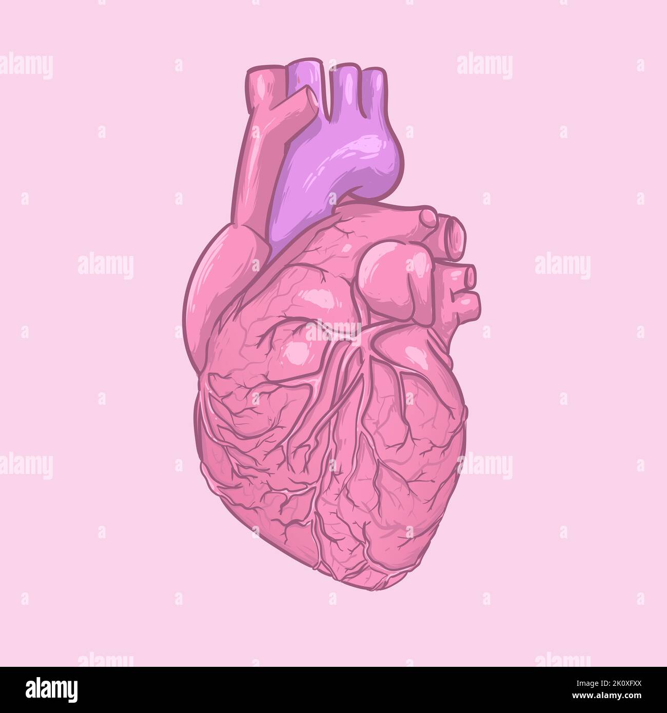 Vektorgrafik für Symbole für die Herzzeichnung isolieren Stock Vektor