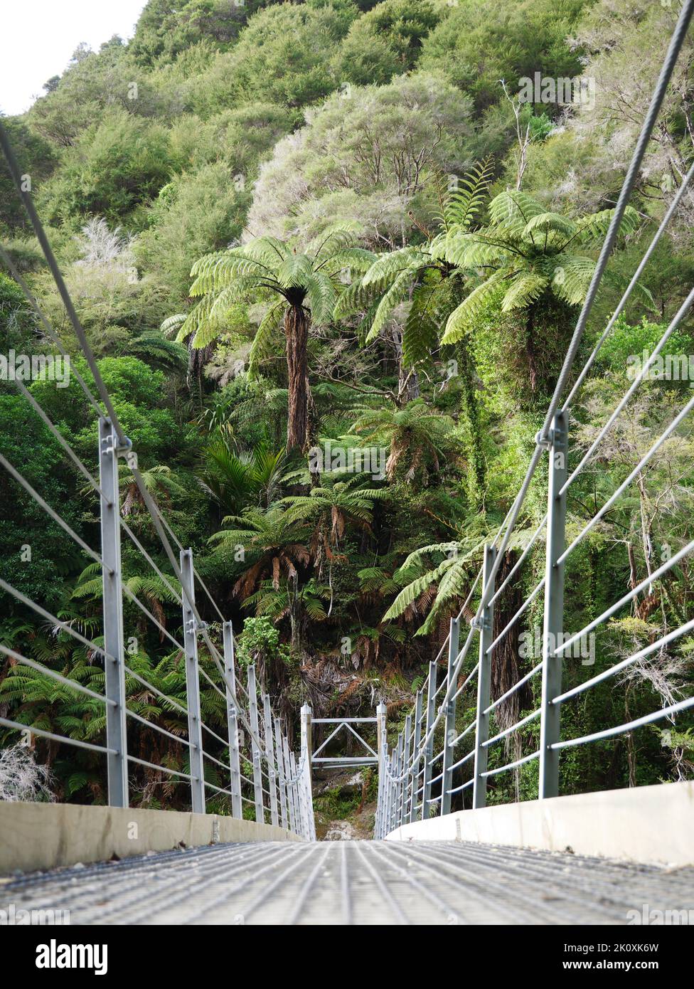 Hängebrücke im Regenwald von Neuseeland - Hängebrücke im Regenwald Neuseelands - Abel Tasman Nationalpark Stockfoto