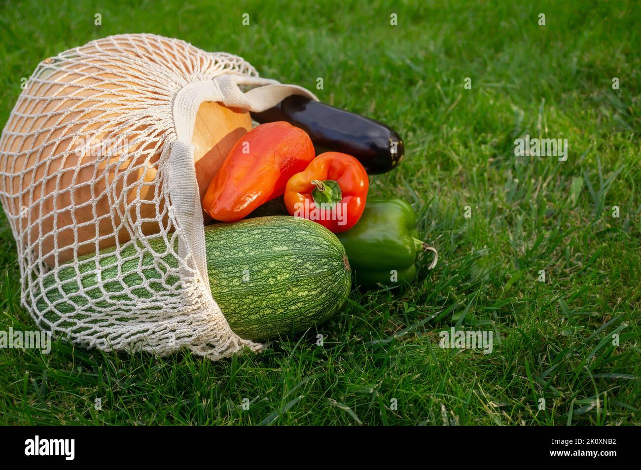 Wiederverwendbarer Öko-Einkaufstasche. Wiederverwendbarer Netzbeutel mit frischem Gemüse, Zucchini, Pfeffer und Auberginen. Keine Verschwendung, keine Sorge um die Umwelt, kein Konzept Stockfoto